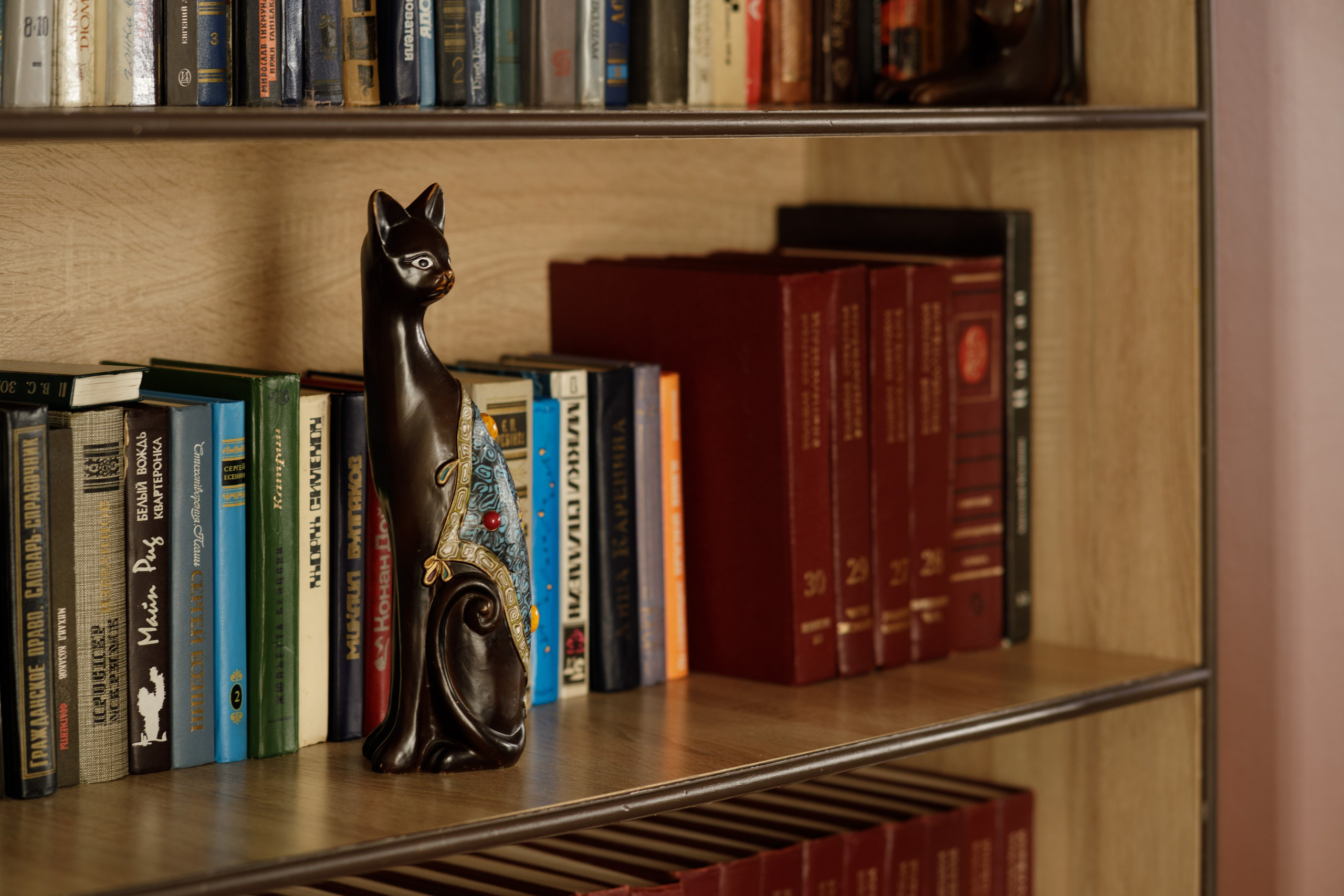 Фотостудия «Леона» Зал Библиотека. Свадебный фотограф в Ростове Александра Груздева