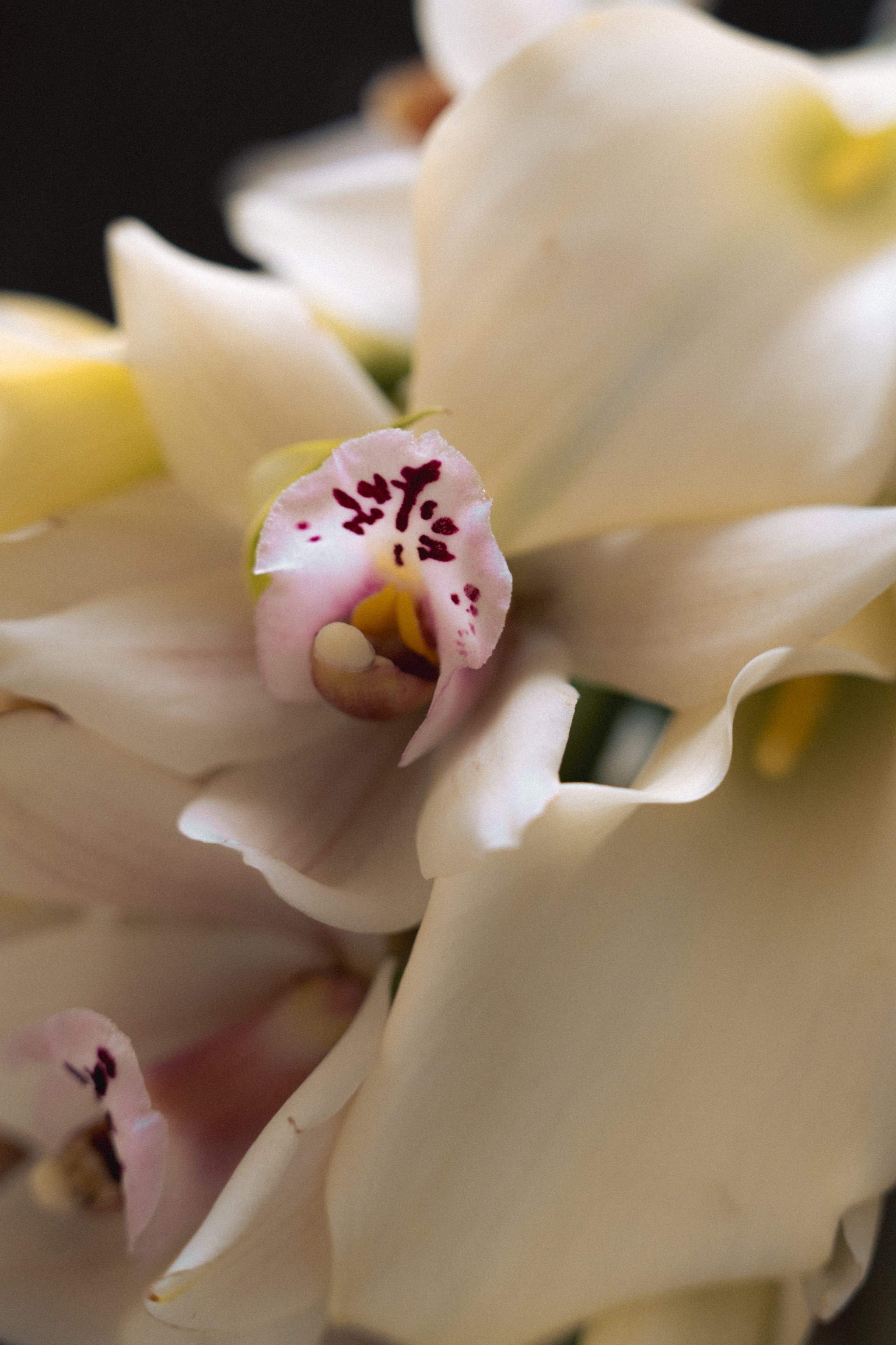 17|04|26. On Emotions агентство