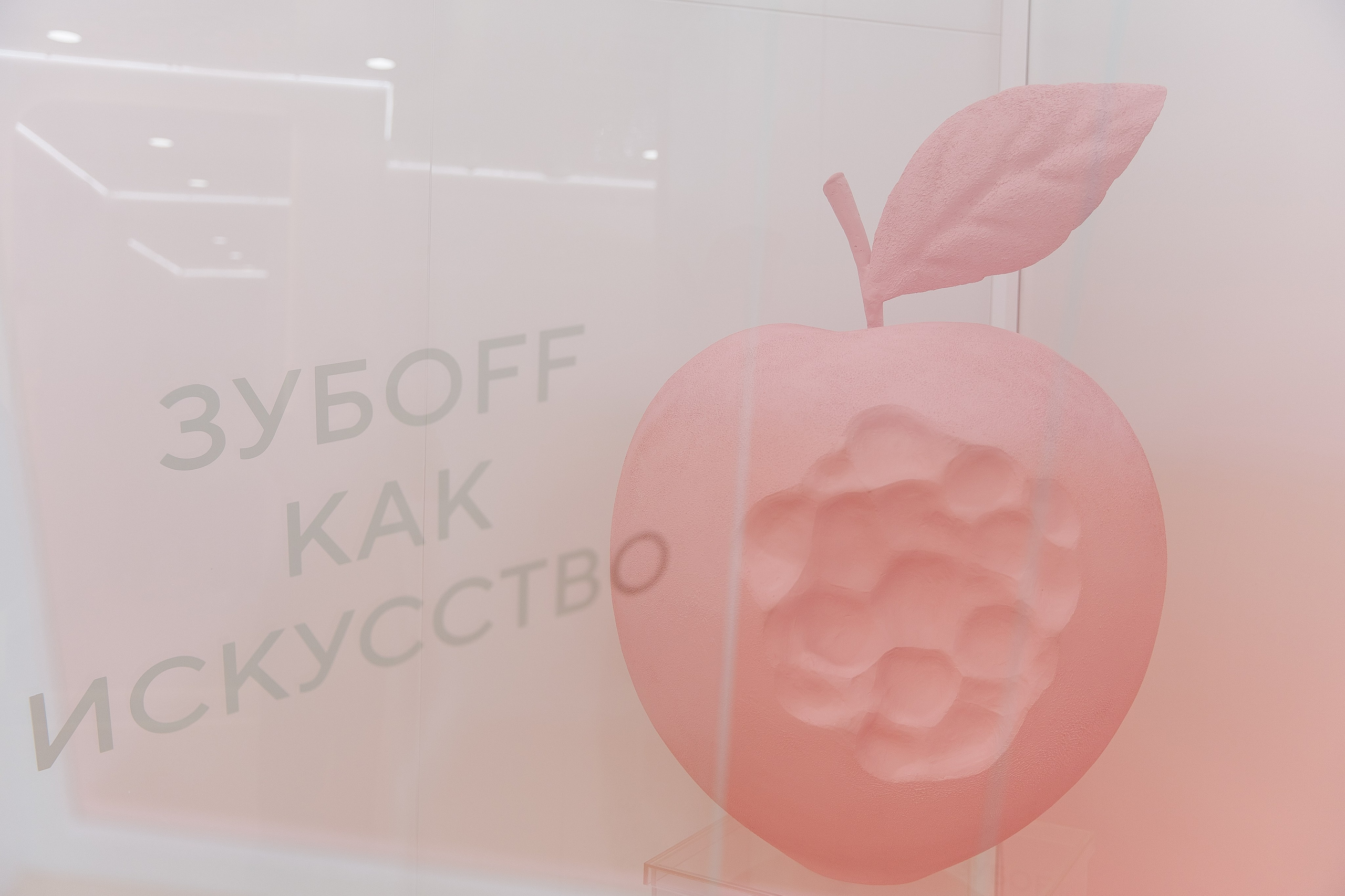 Открытие клиники. Фотограф в Красноярске Любовь Малеева