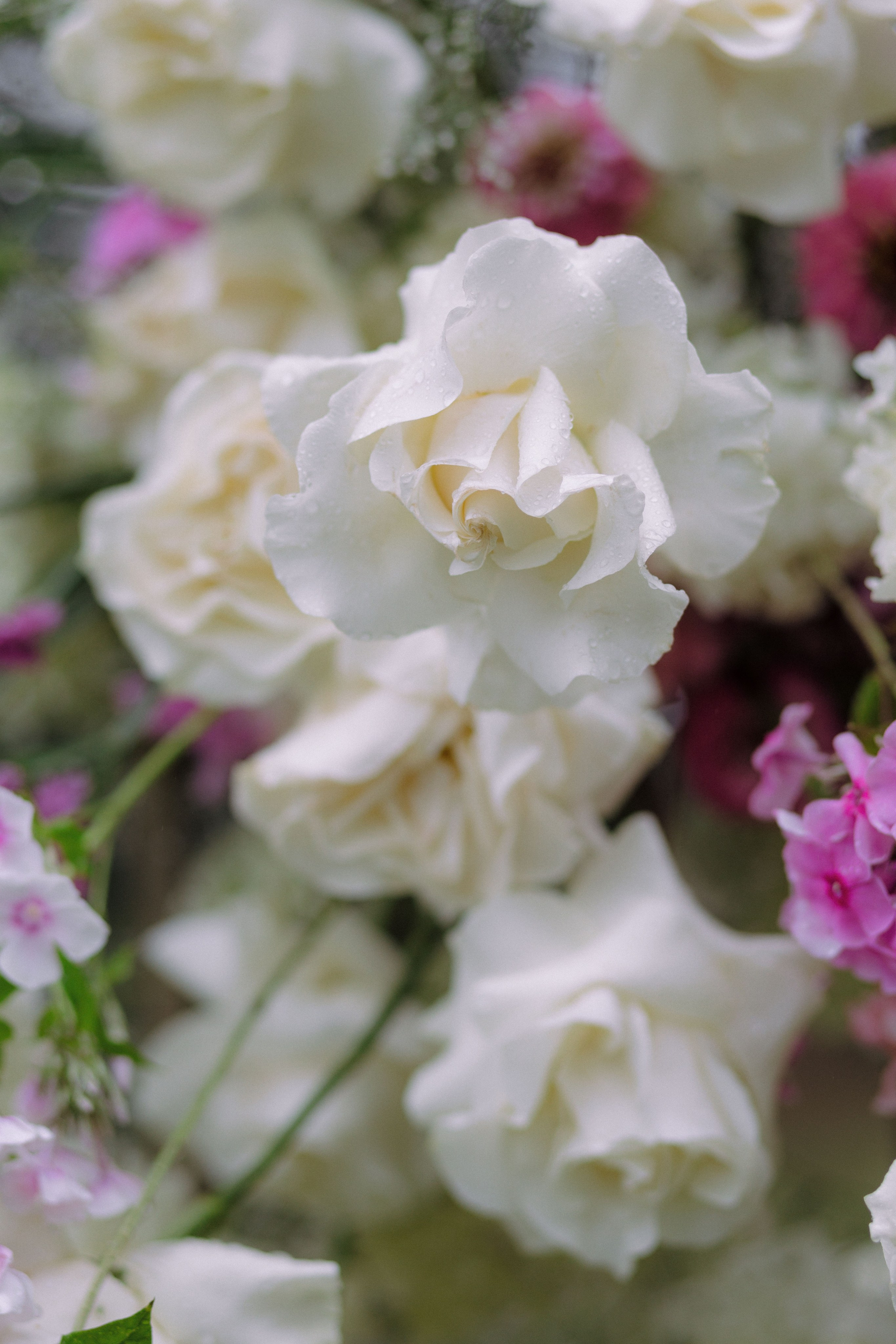 Arthur & Marie. Главная