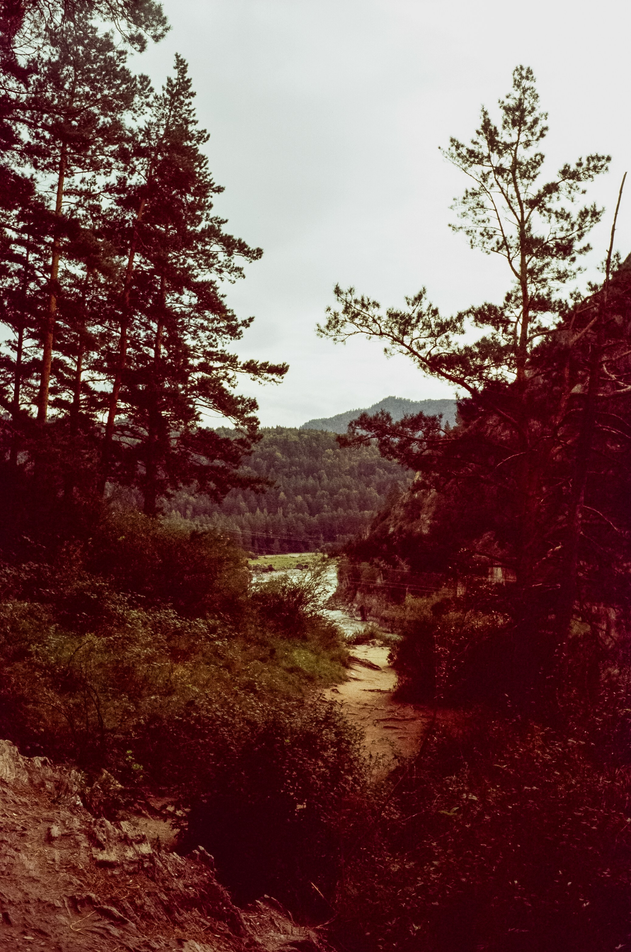 Остров Патмос и Сила Алтая, Семинский перевал / 29–30 августа 2024 года