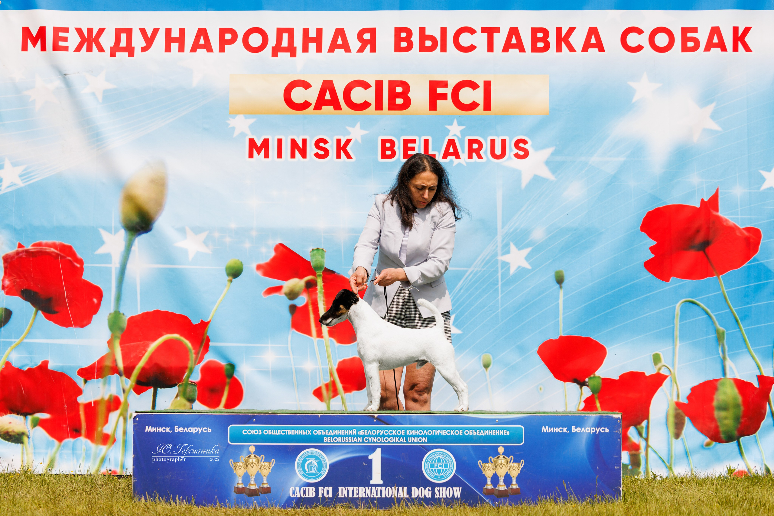 Минск 31.05-1.06.2025. Фотограф-анималист Юлия Германика