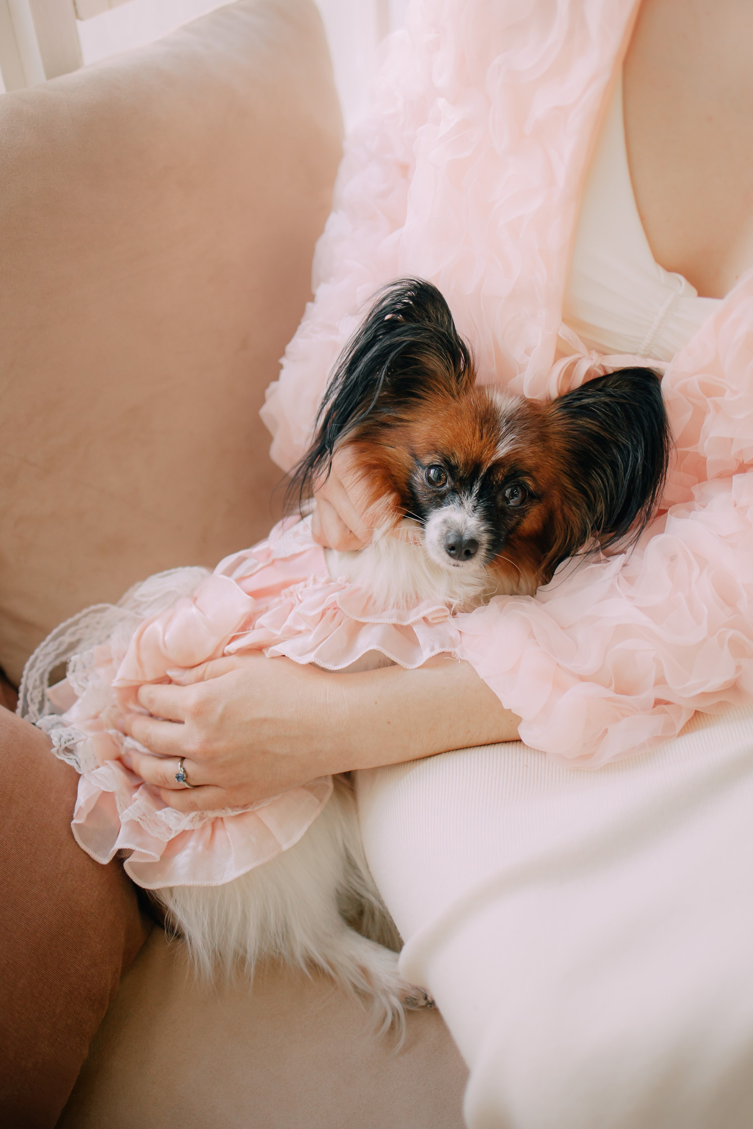 Султан, Мэй Мэй и Шанталь и их семья