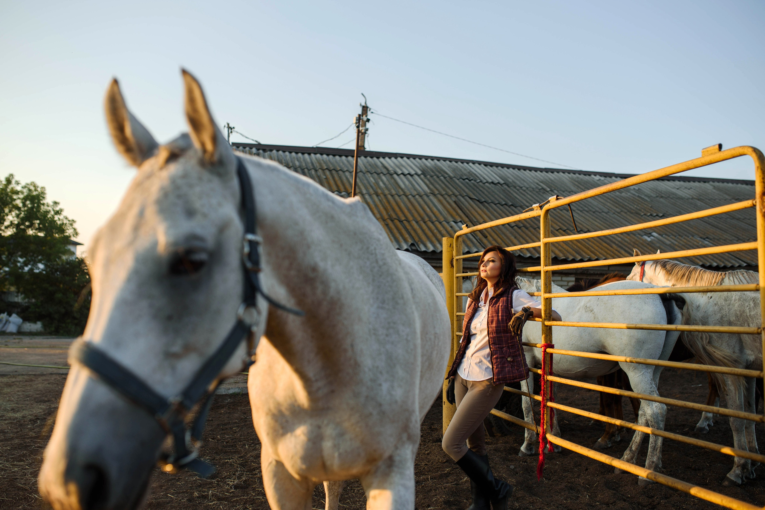 Яна и кони. Свадебный и семейный Фотограф в Пензе Татьяна Лапоногова