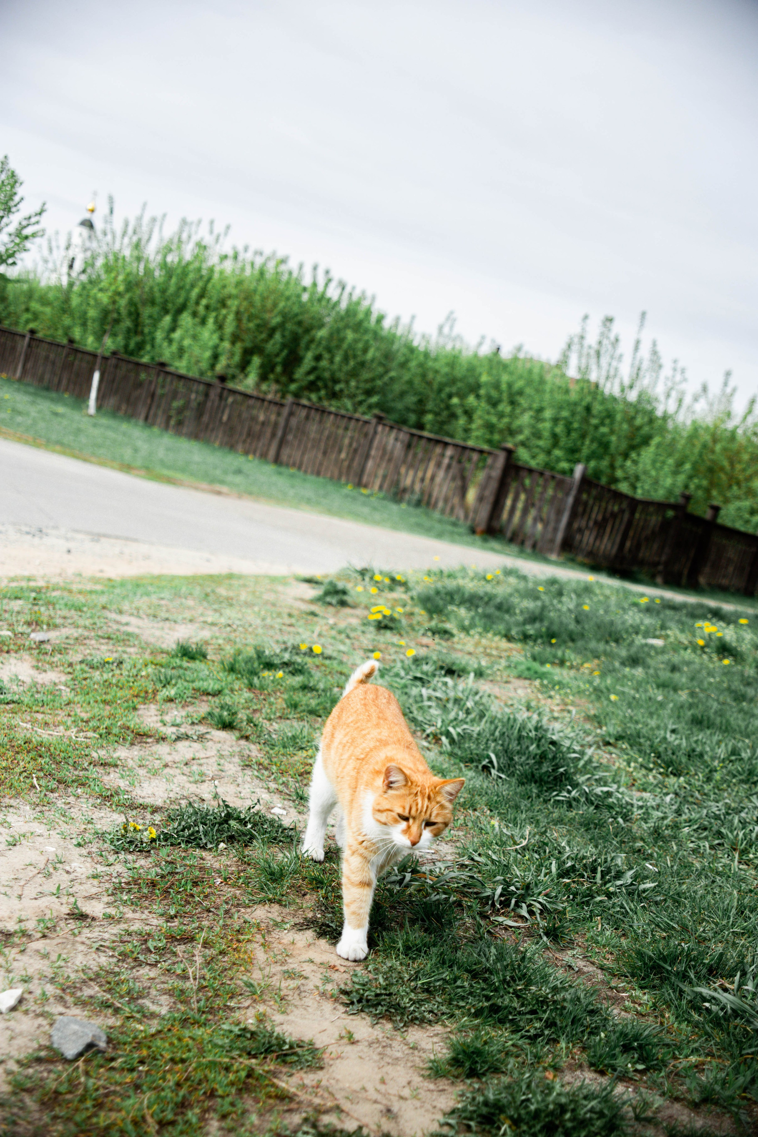 Казань. Йошкар- Ола. Чебоксары. 2023. Фотограф в Нижнем Новгороде