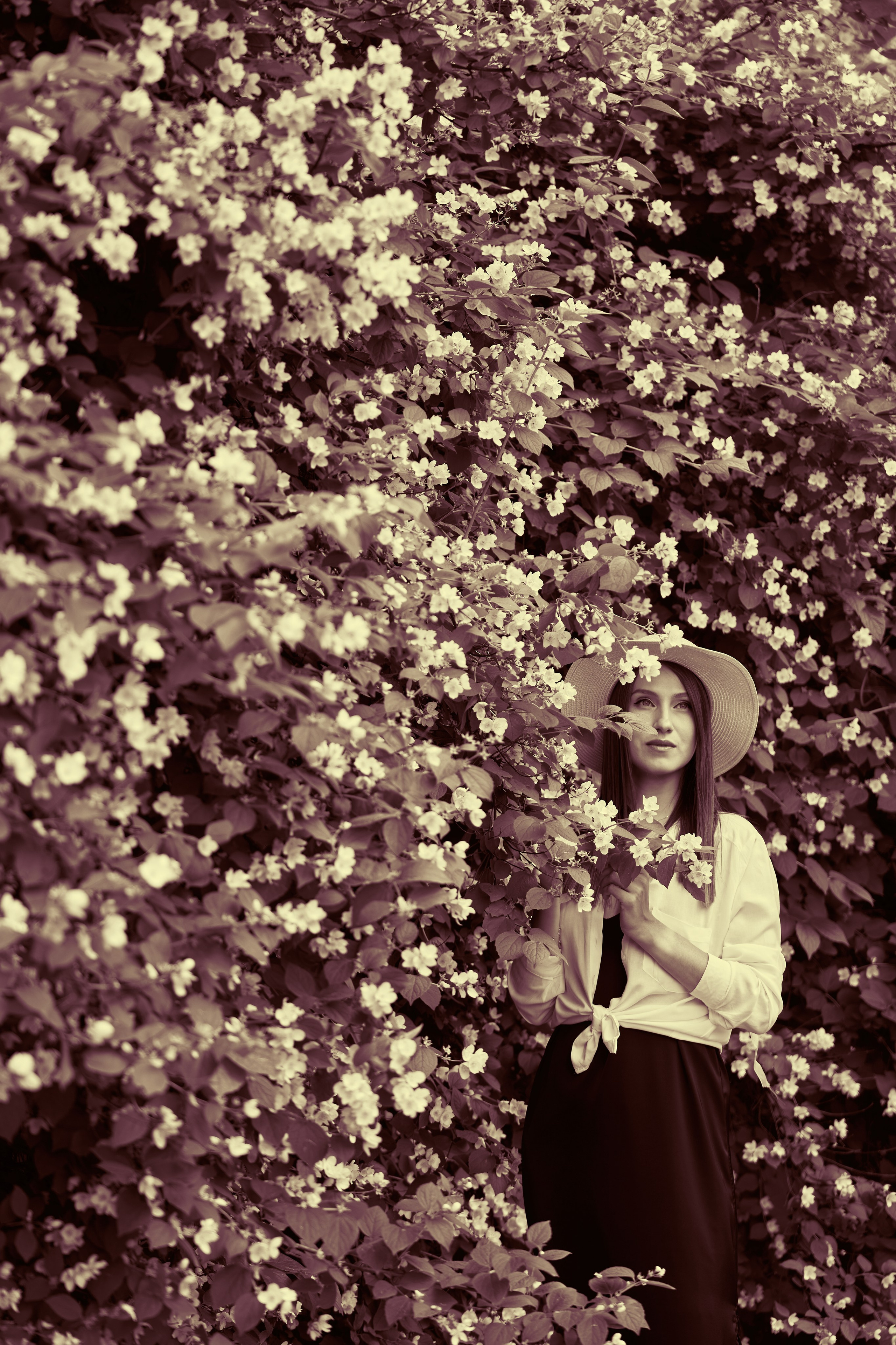 Съемка молодой девушки в жасмине