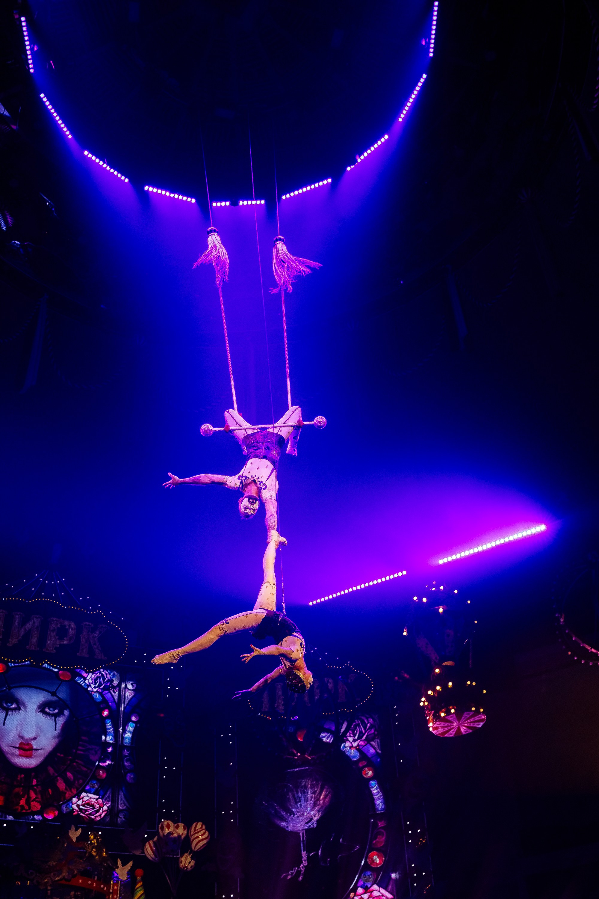 Сочинский росгорцирк Шоу Гии Эрадзе цирк. Профессиональный фотограф в Сочи Виктория Джой. Обучение