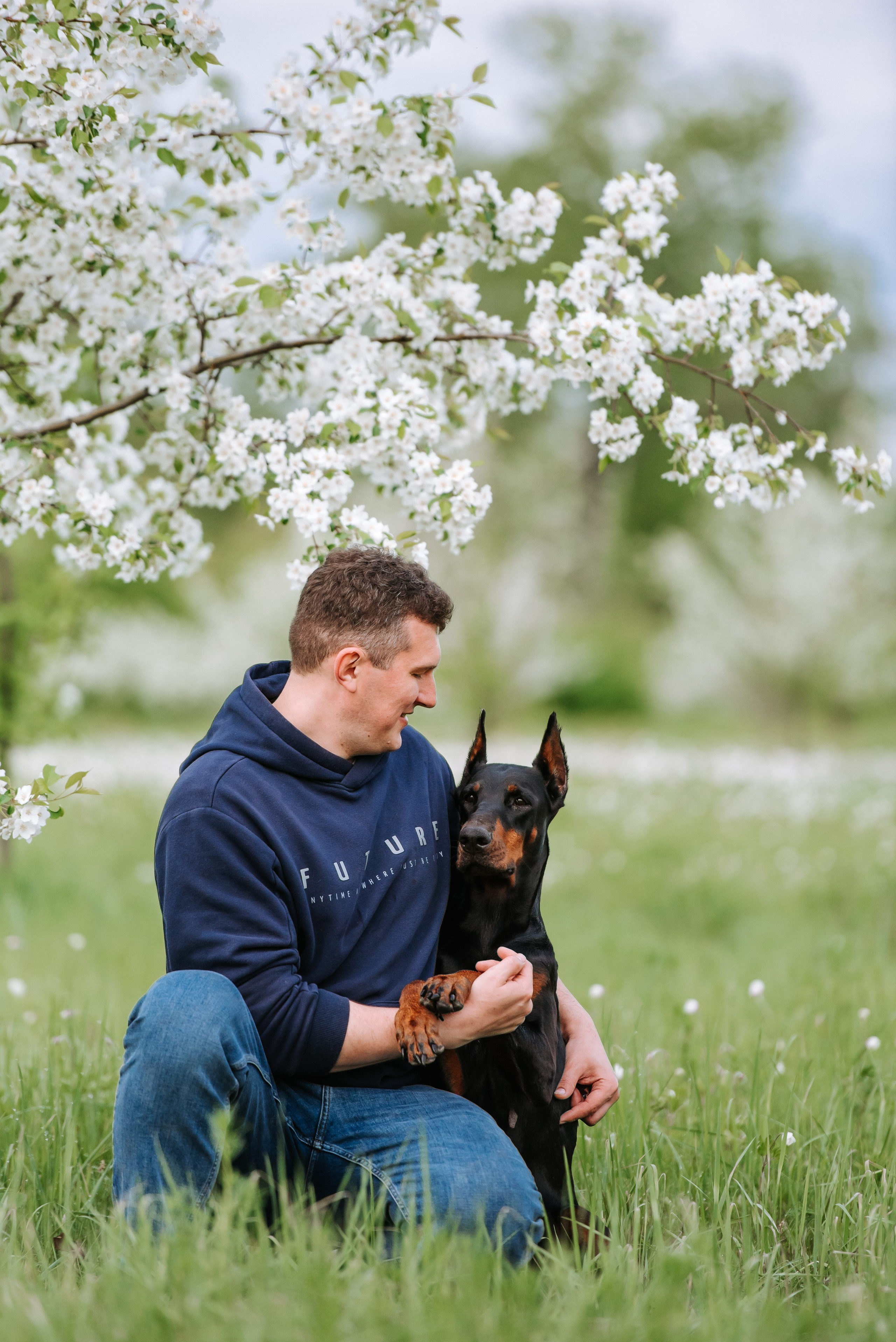 Цветение с доберманами. Фотограф Диана Оленина Красноярск / Братск