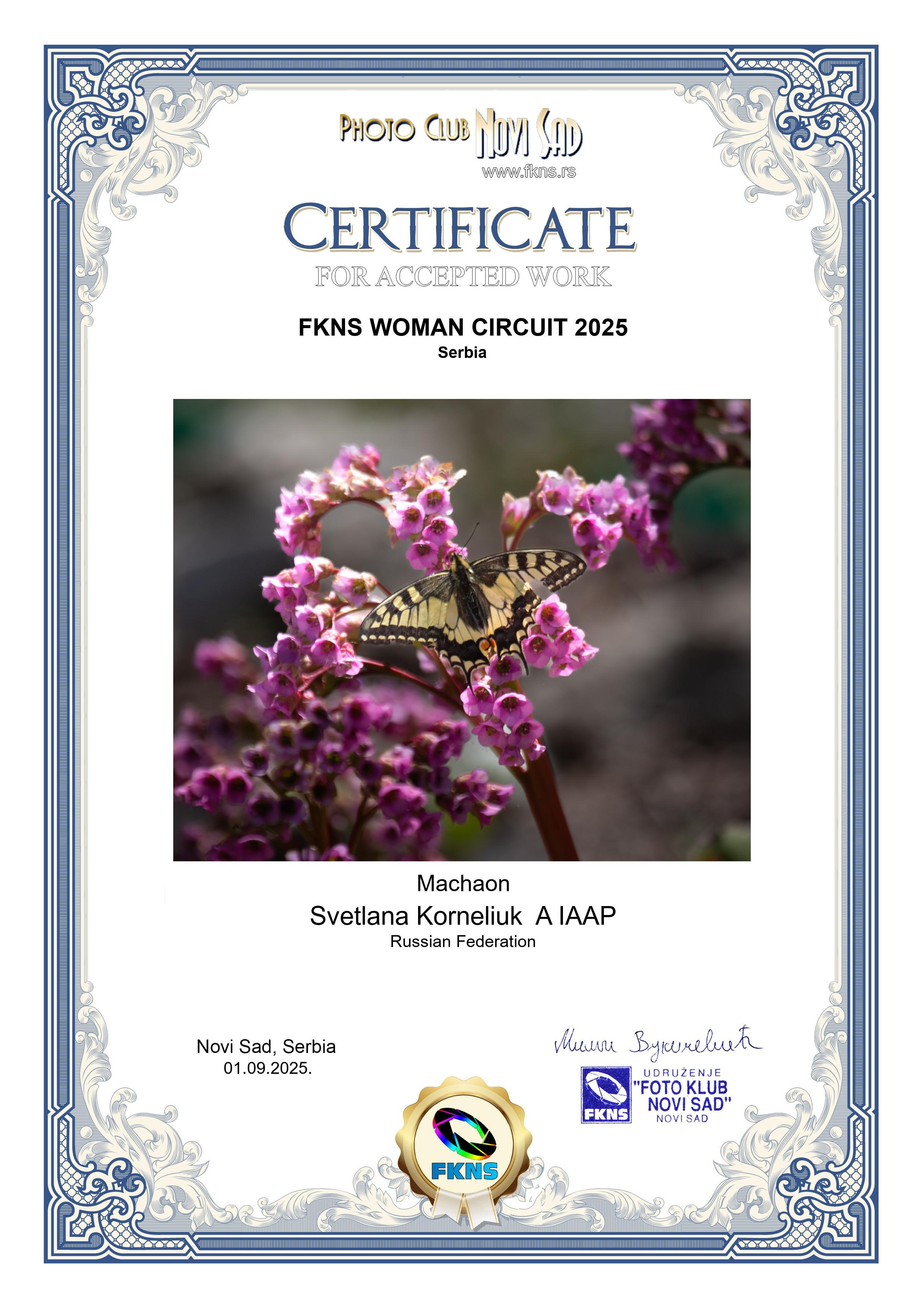 Результаты участия в конкурсе FKNS WOMAN CIRCUIT 2025