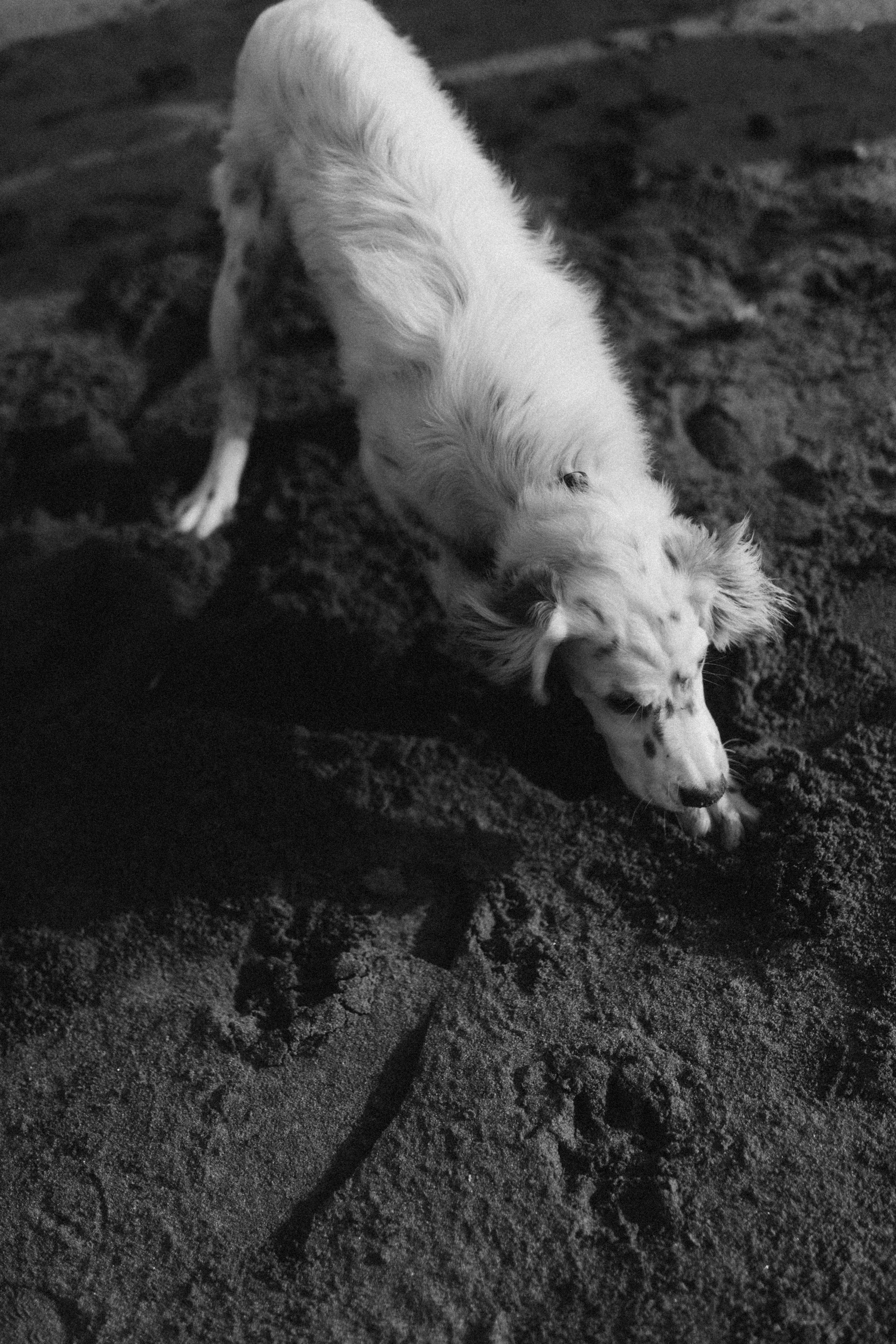 Октябрь. Фотограф из Петербурга