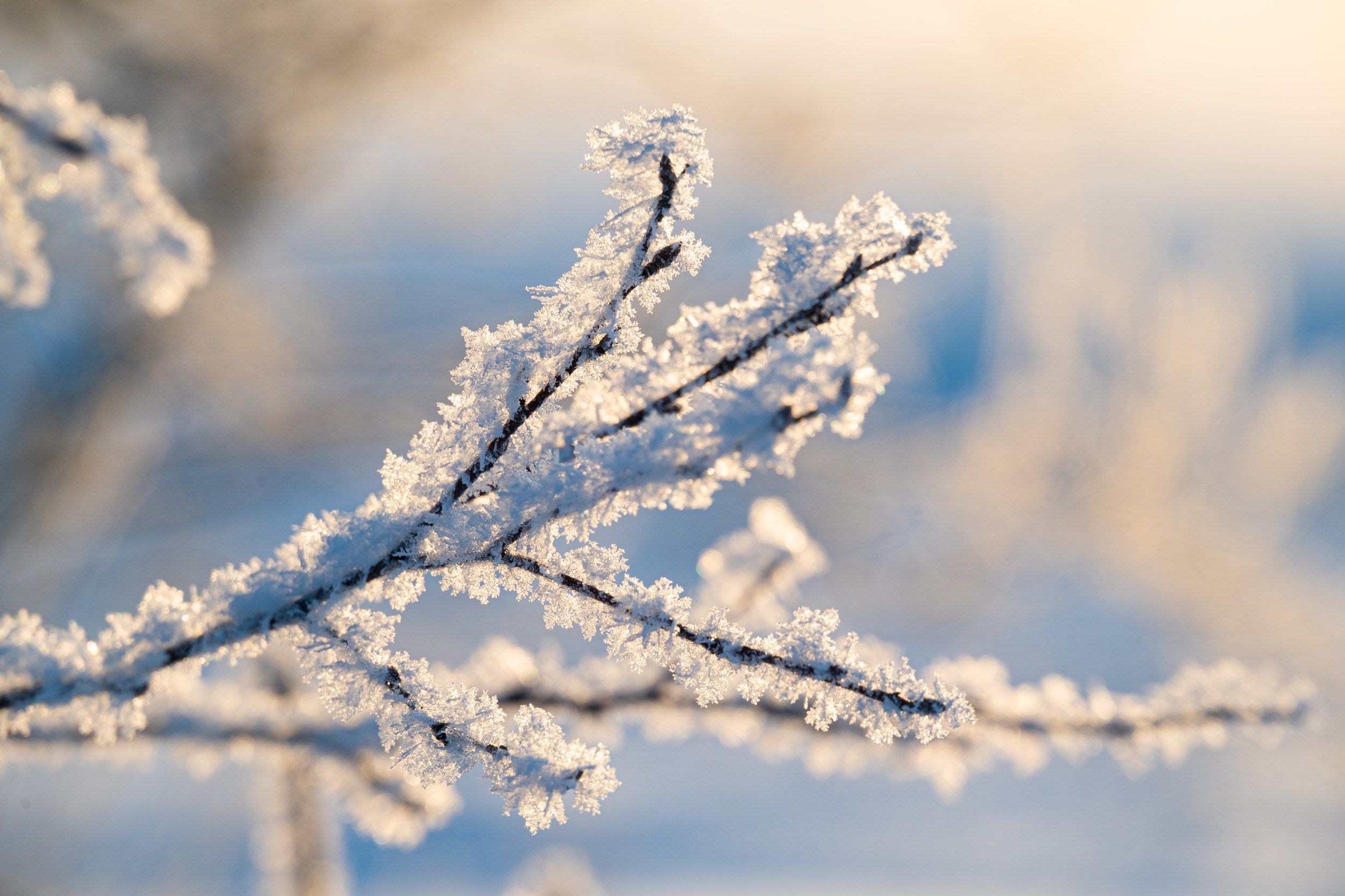 Река Дёготня. Фотограф и видеооператор в Туле | Даниил Рыбак
