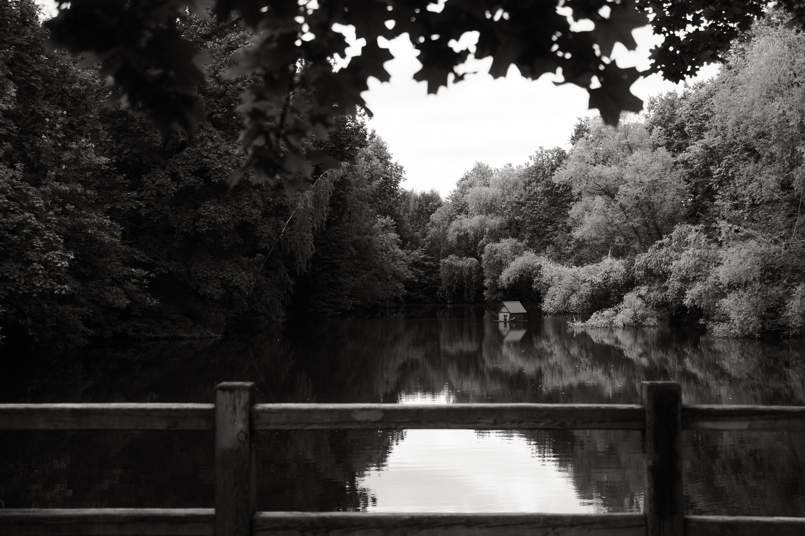 Прогулка по Воробьёвым горам. Фотограф Михаил Ерохин | Москва