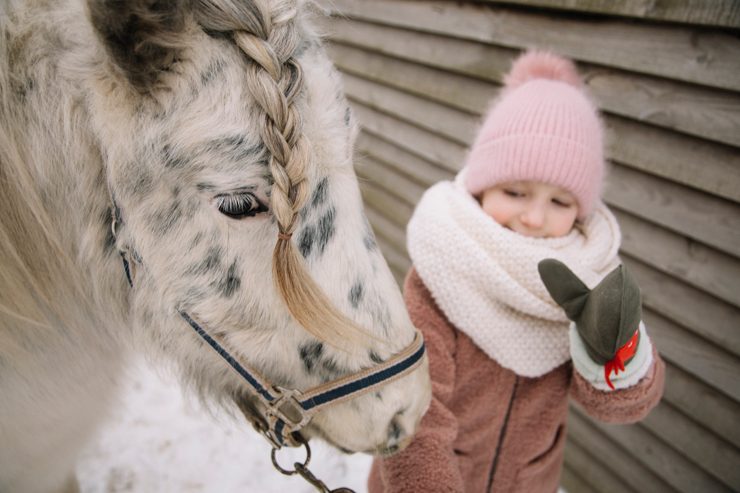 Семейные съемки. Фотограф и видеограф в Санкт-Петербурге Прохорова Надежда