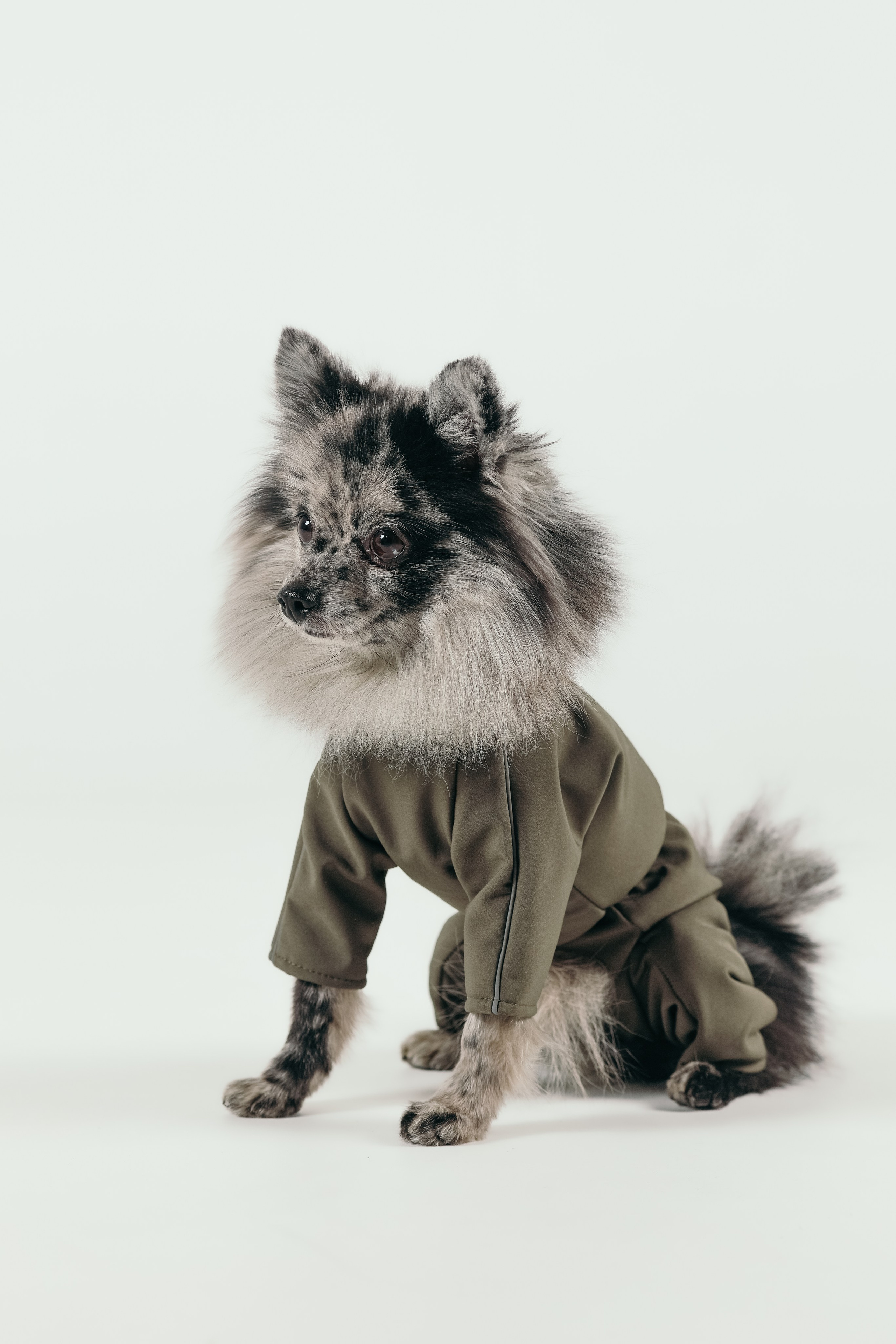 Для брендов. Фотограф- анималист Санкт-Петербург