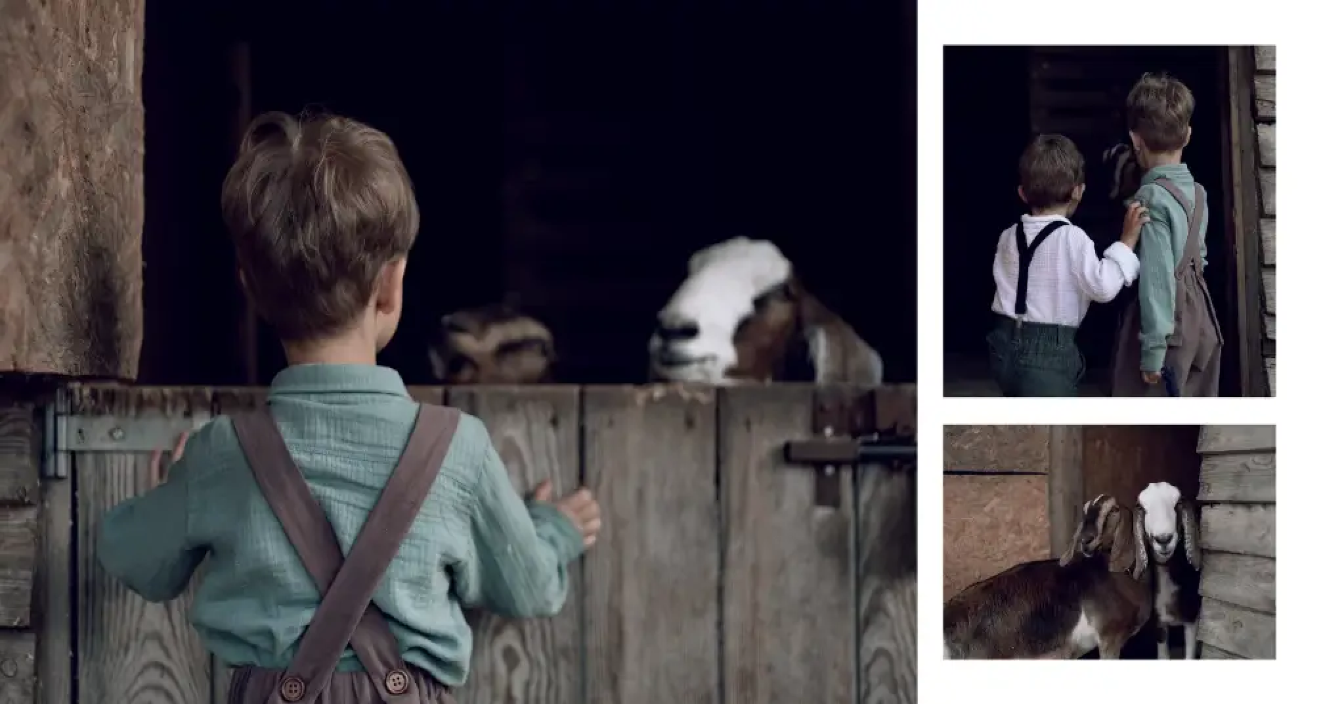 Верстка. Фотограф в Минске Алёна Дианина