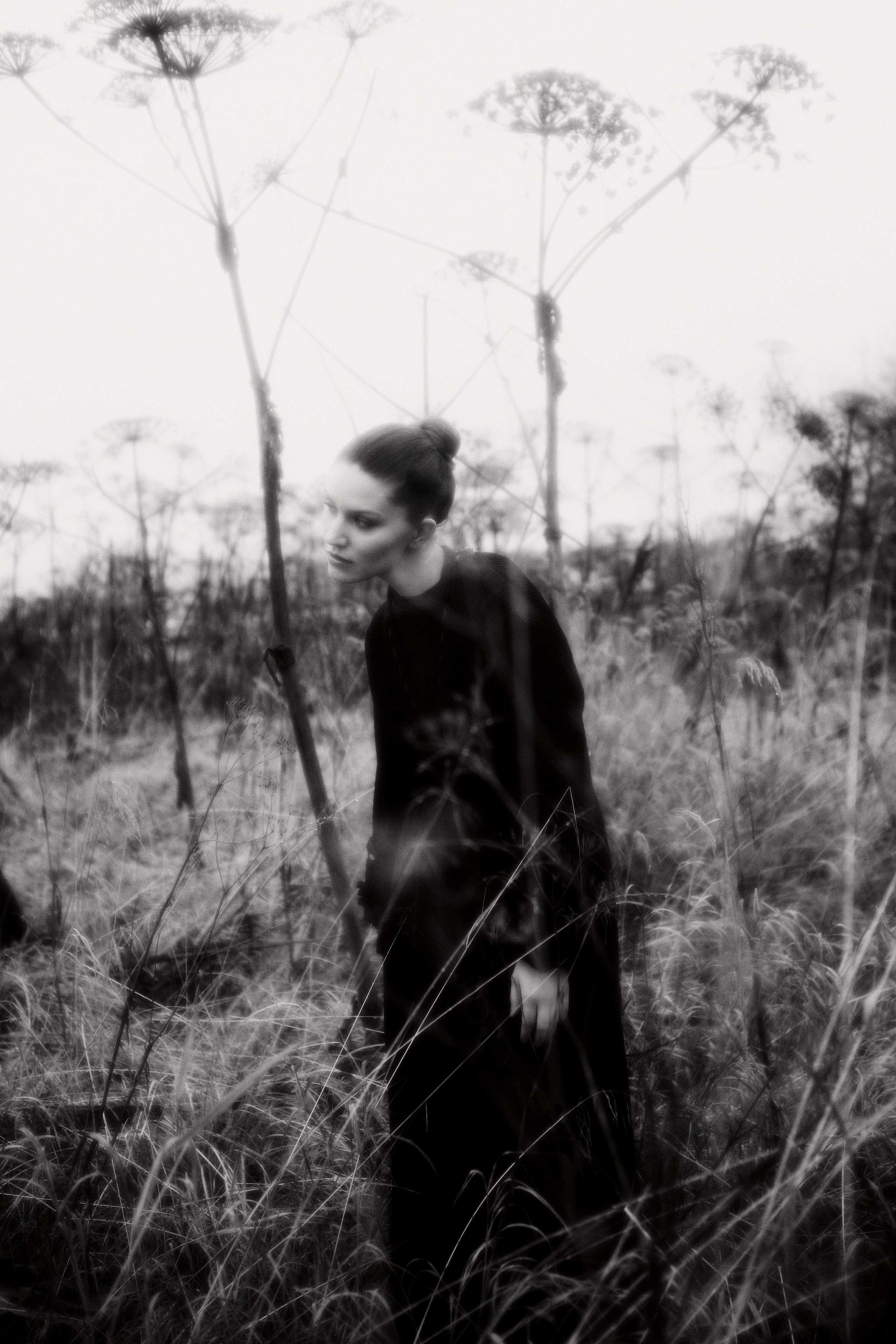 Hogweed. Fashion Photographer Oxana Chernomorets