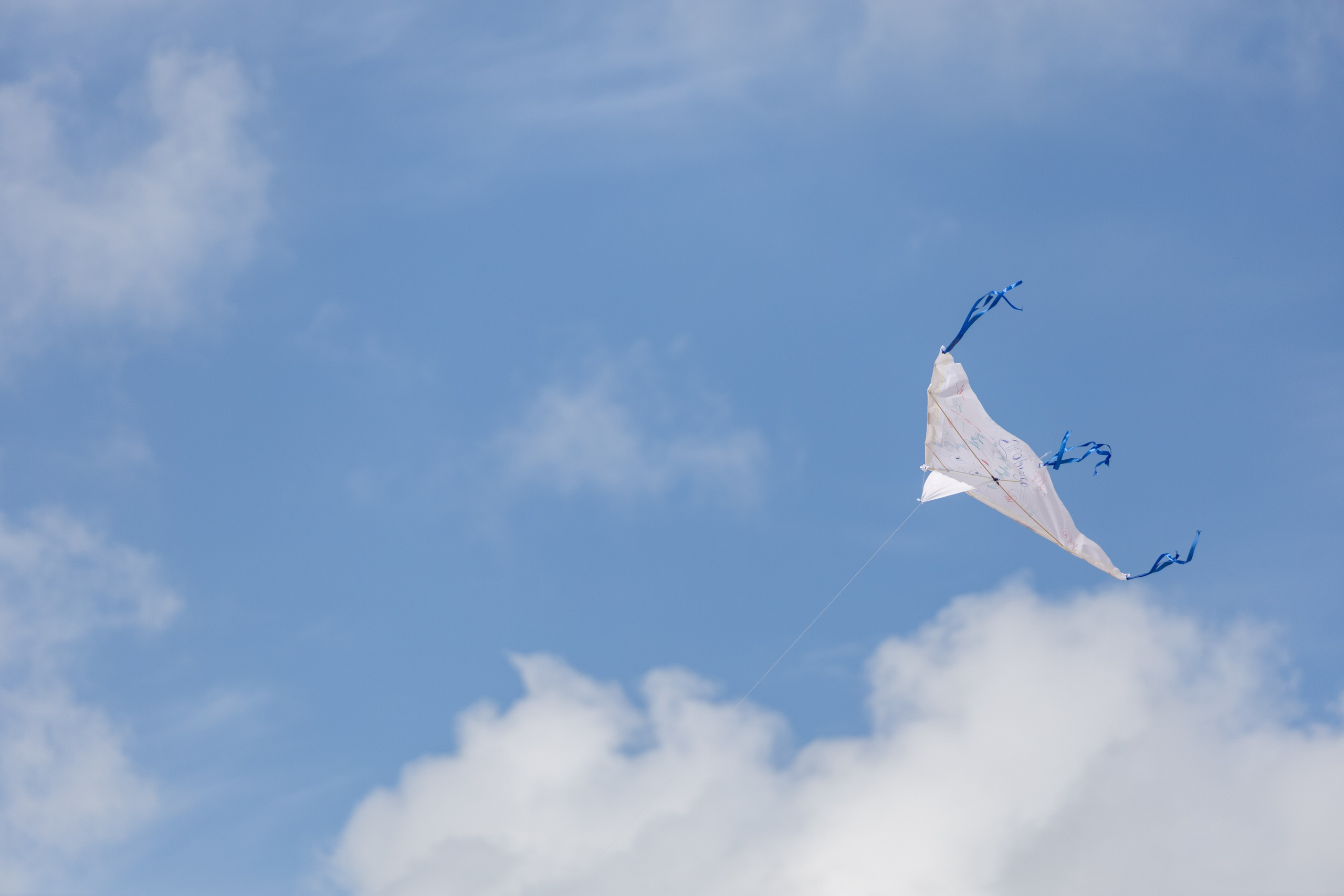 ЭФКО. СЛЁТ ЛИДЕРОВ РАБОЧЕГО АКТИВА. ДЕНЬ 2. Репортажный фотограф Анапа