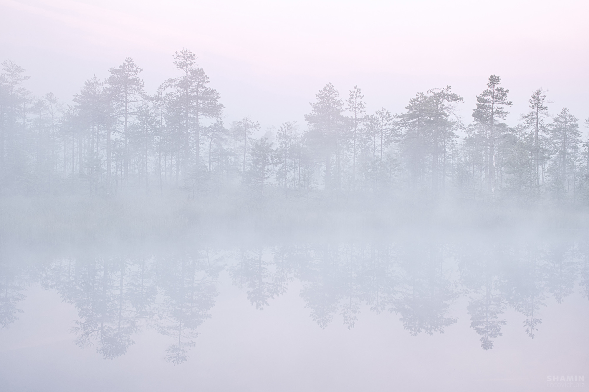 365 (2022 год). Фотограф Константин Шамин