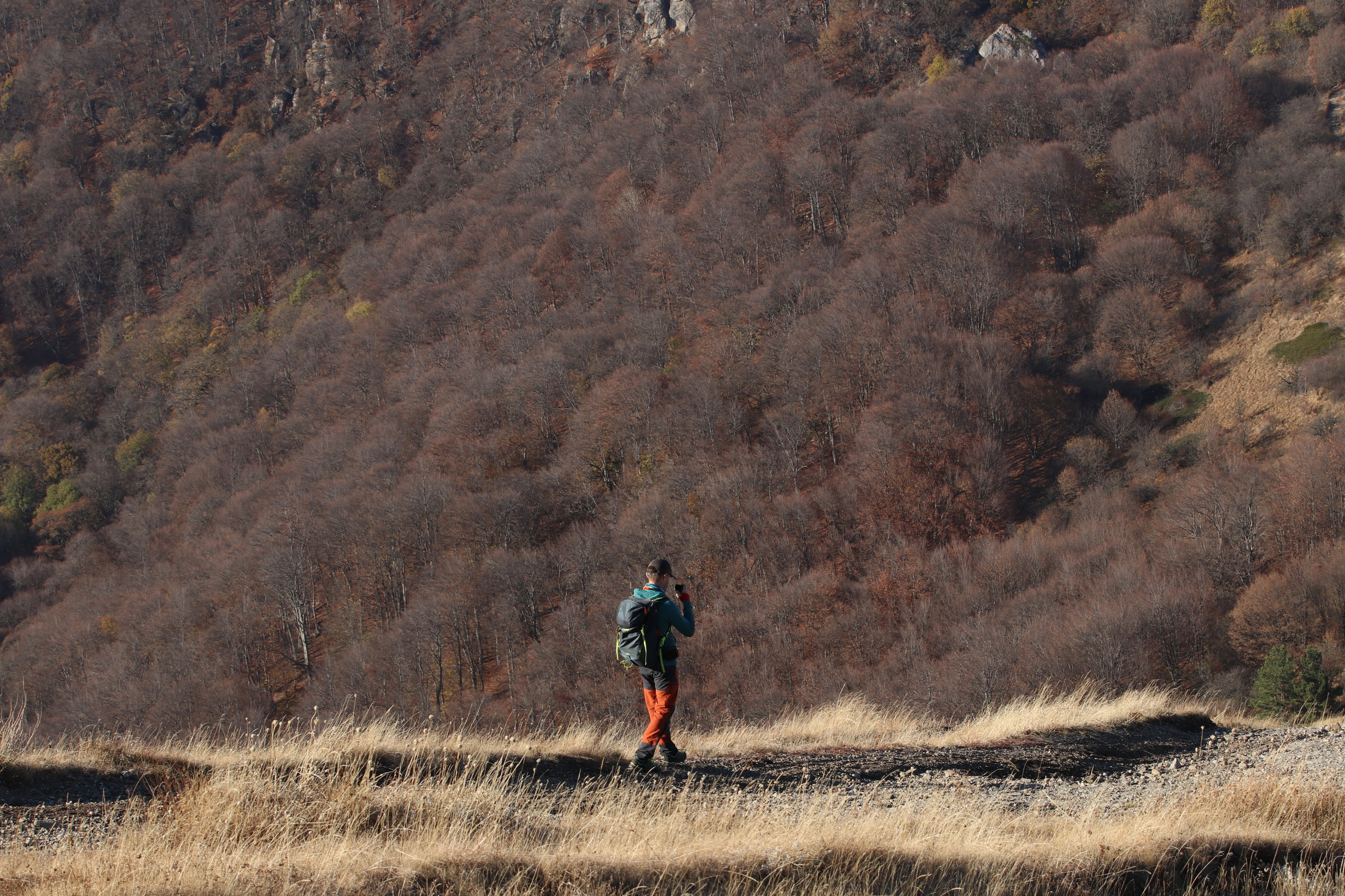 Крым. ЮБК (Гурзуф, Судак и их окрестности). Ноябрь 2023. Путешественник-фотограф из Санкт-Петербурга Татьяна Свистулина
