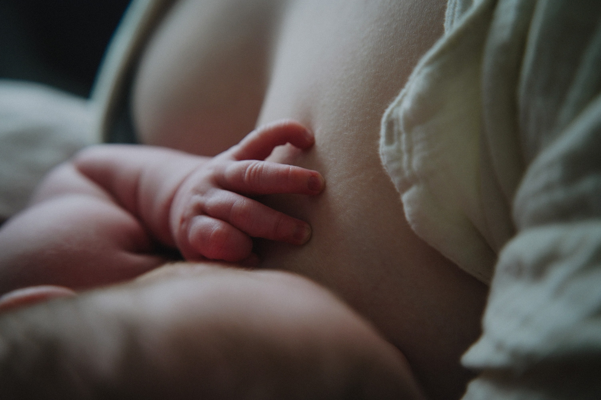 Давид. 04.02.2026. Фотограф СЕМЬИ и ДЕТСТВА в Краснодаре и Краснодарском крае Екатерина Москат