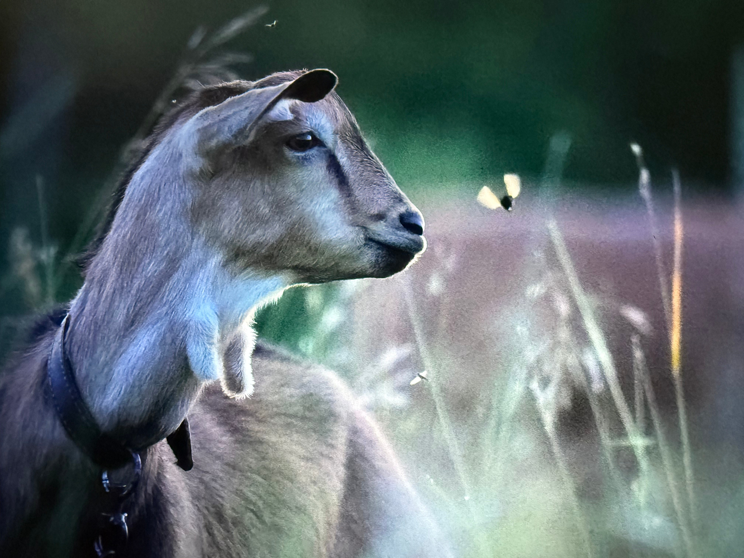 Отзывы. Фотограф Анастасия Ветковская, Москва