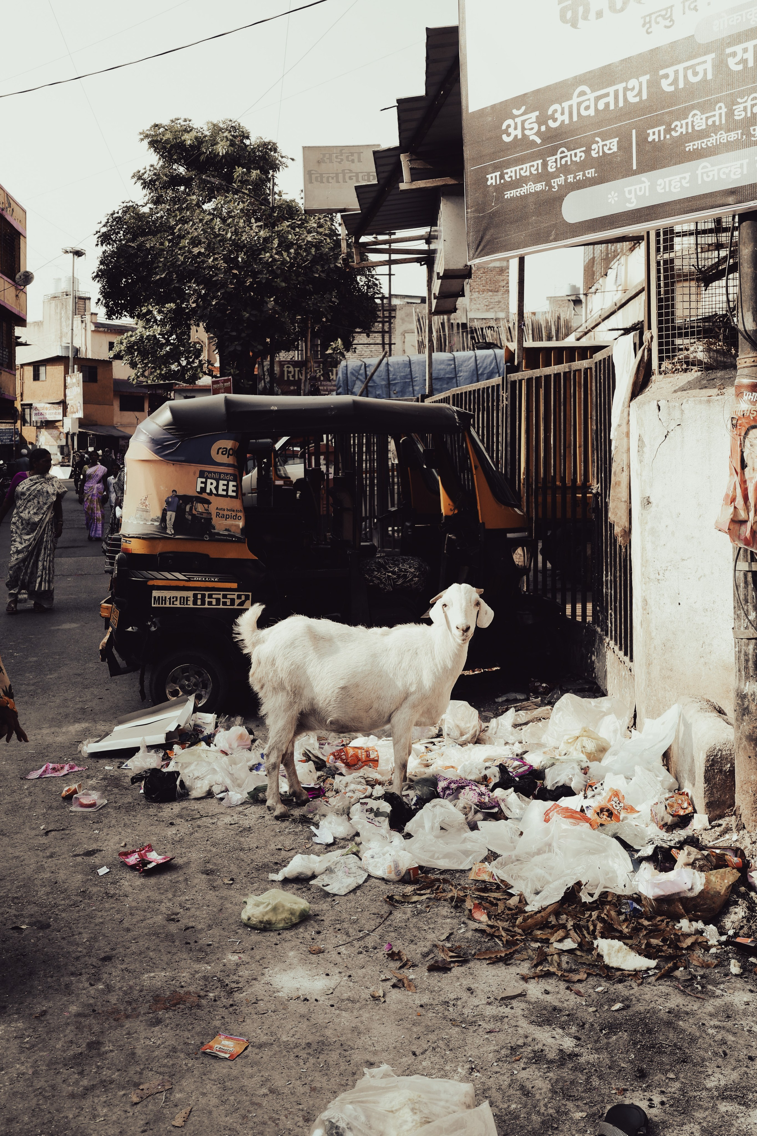 India. Фотограф в Москве