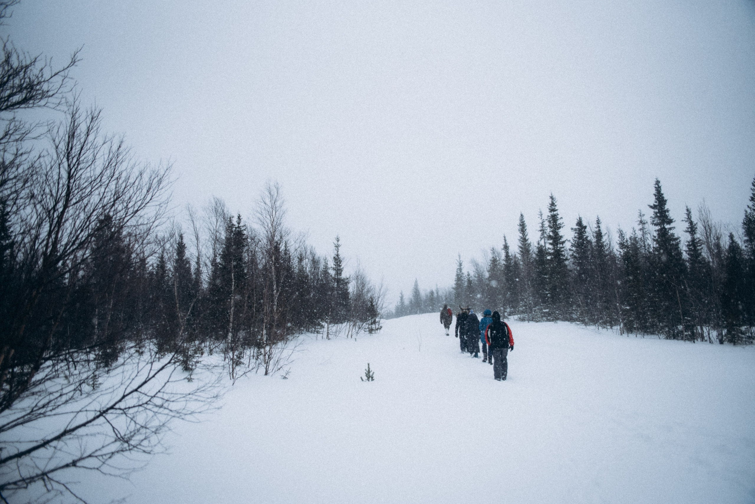 Териберка, Мурманск, Россия 🇷🇺. Anita_photo