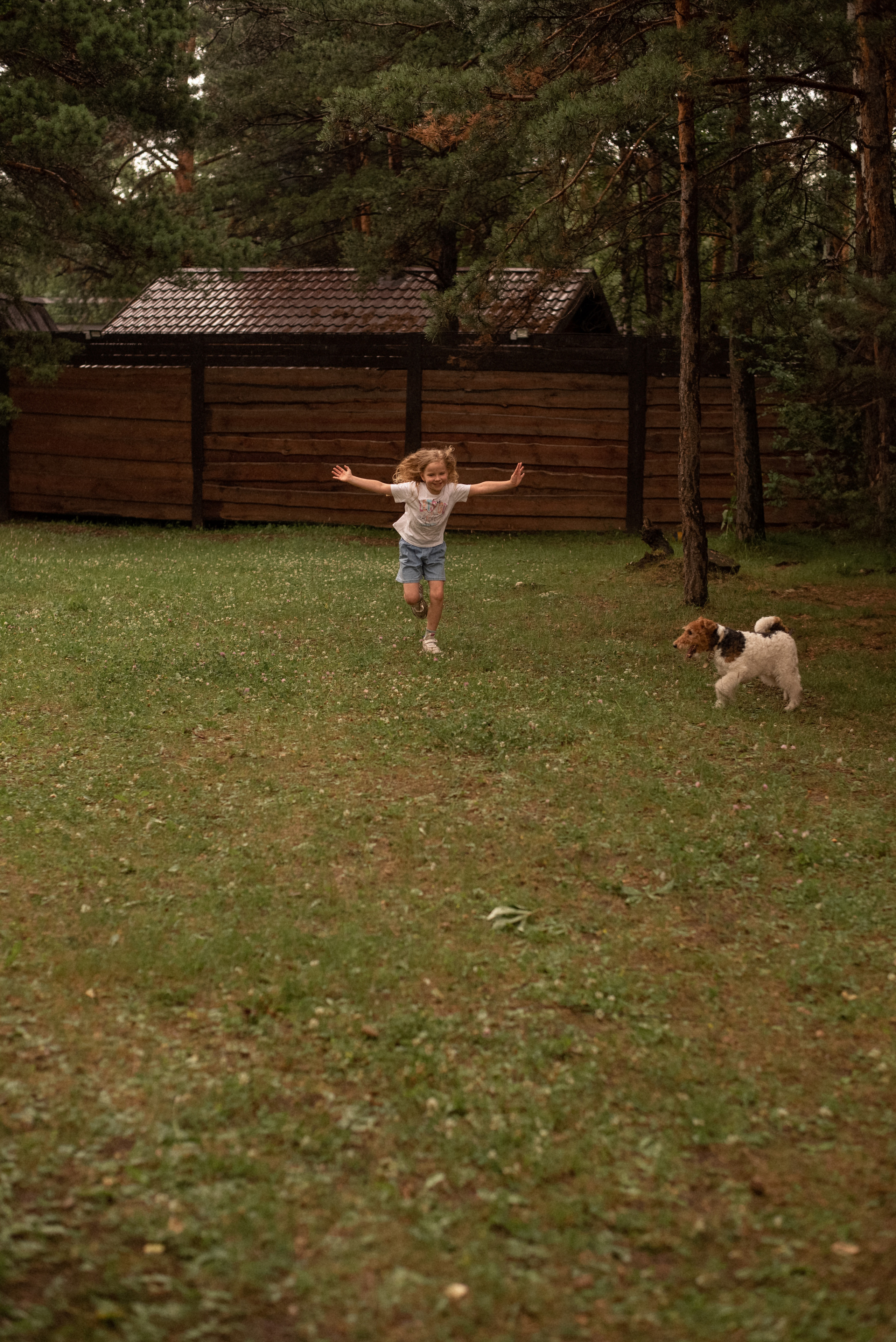Летний, семейный пикник. Фотограф  Потапова Анна