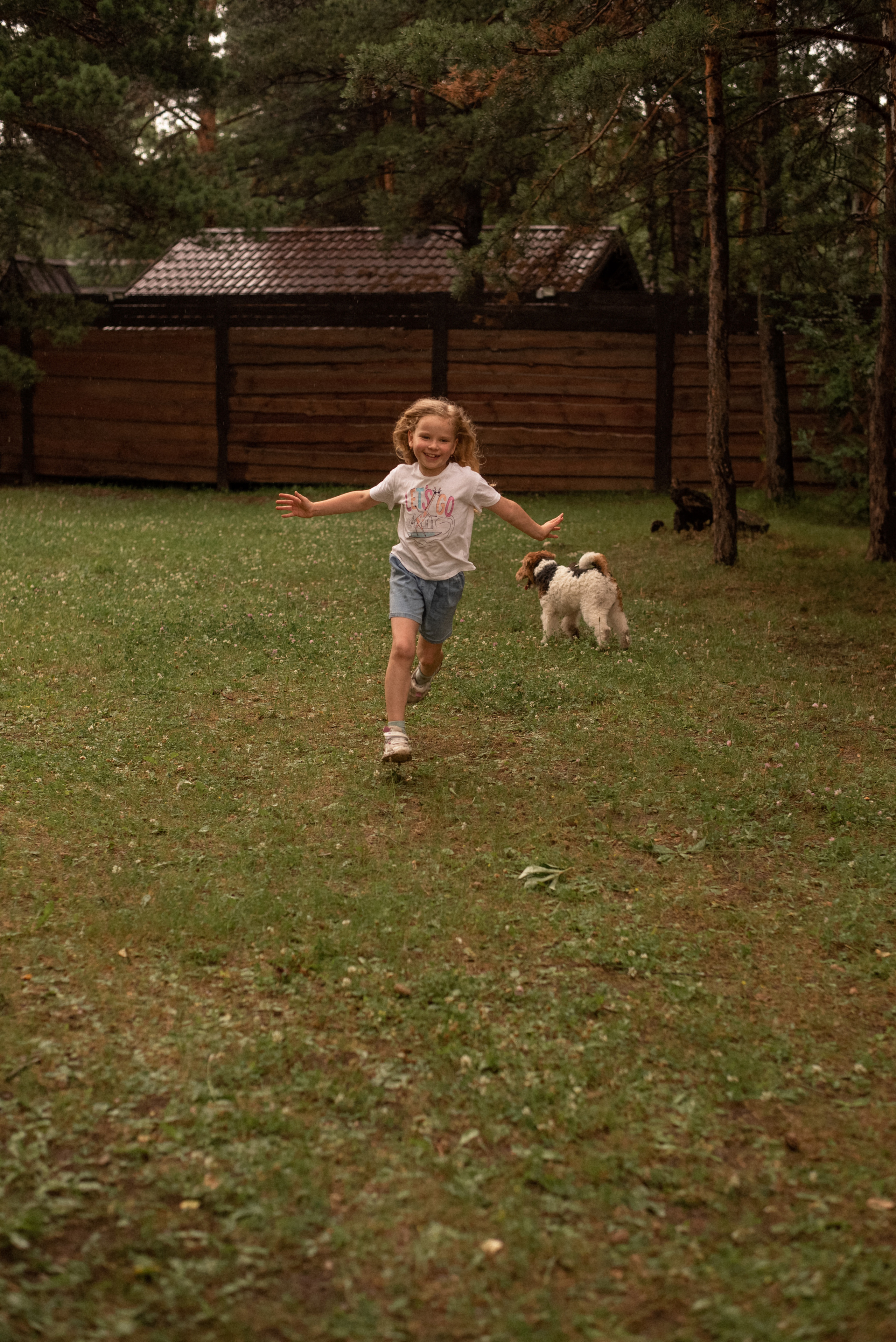 Летний, семейный пикник. Фотограф  Потапова Анна