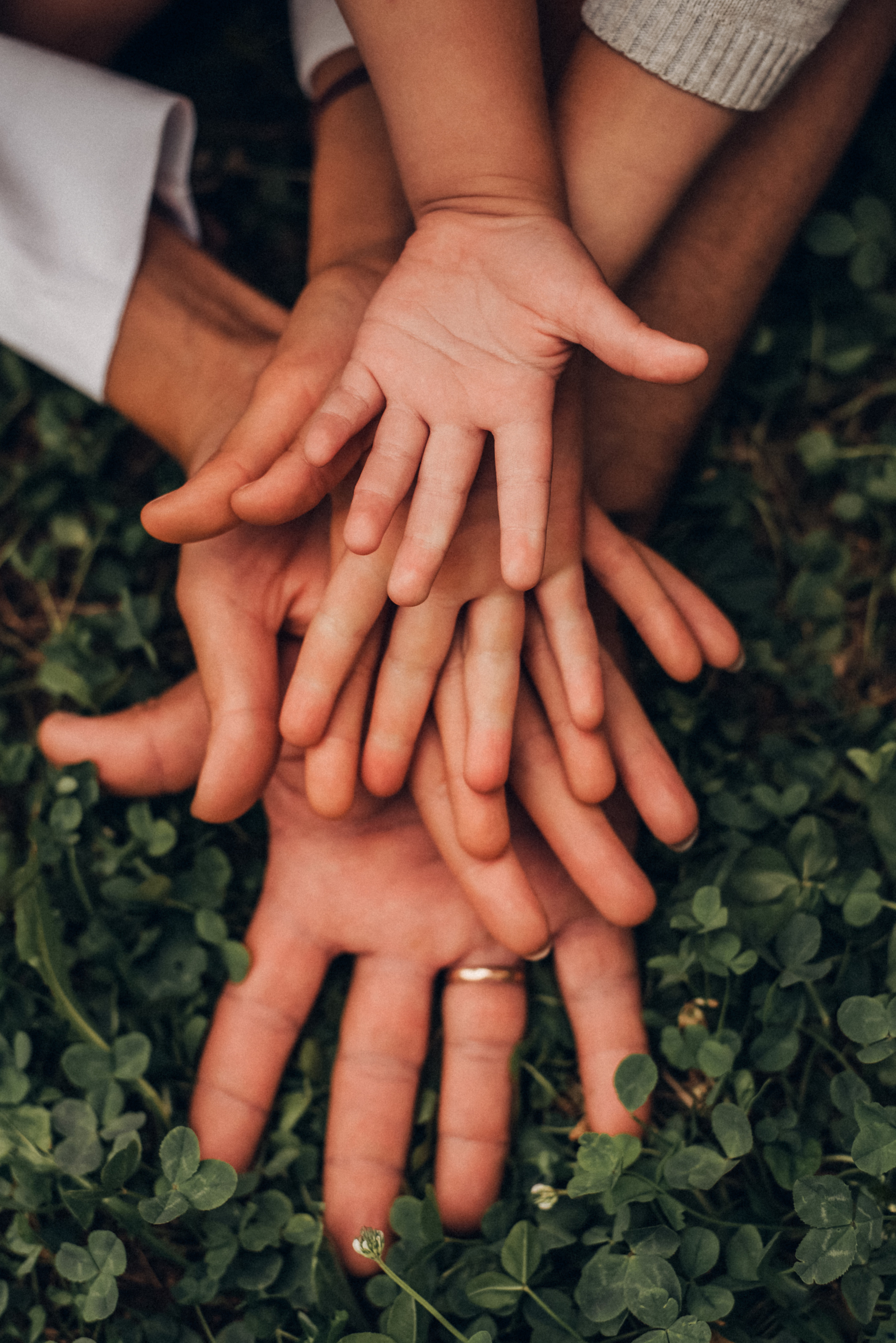 Вместе…. Фотограф  Потапова Анна