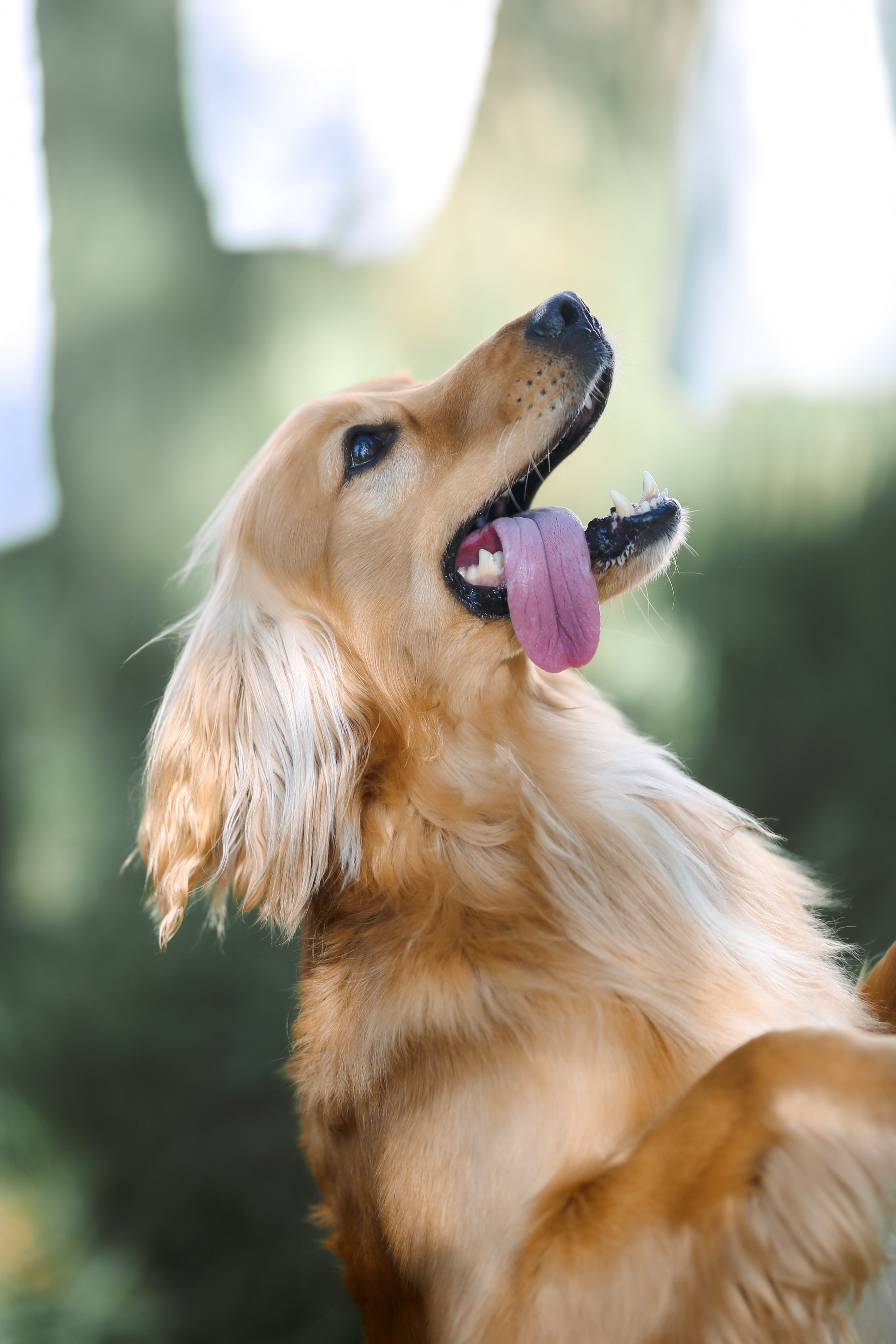 У Костра. Фотограф Анастасия Залевская