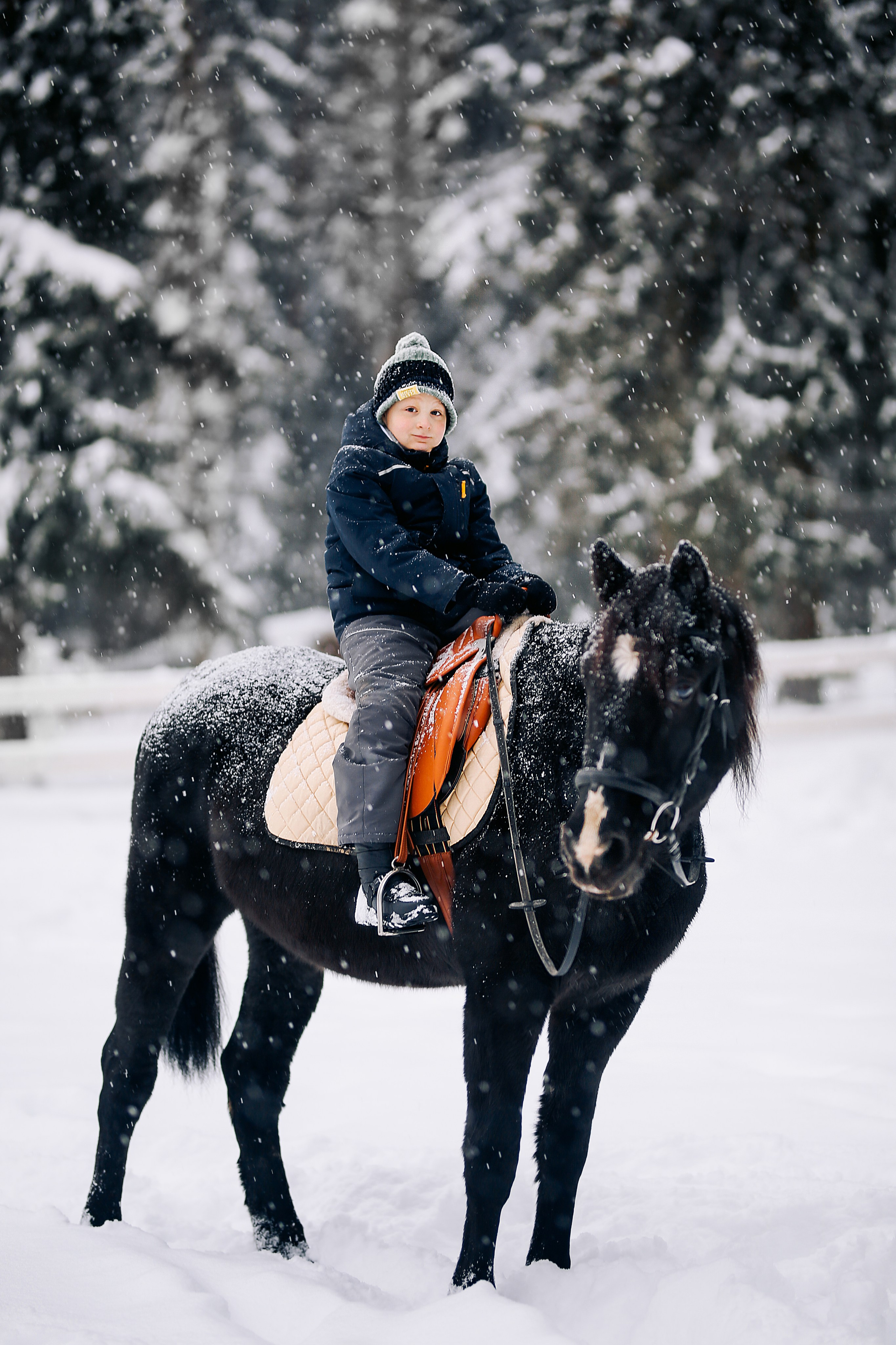 С лошадками. Фотограф Анастасия Залевская