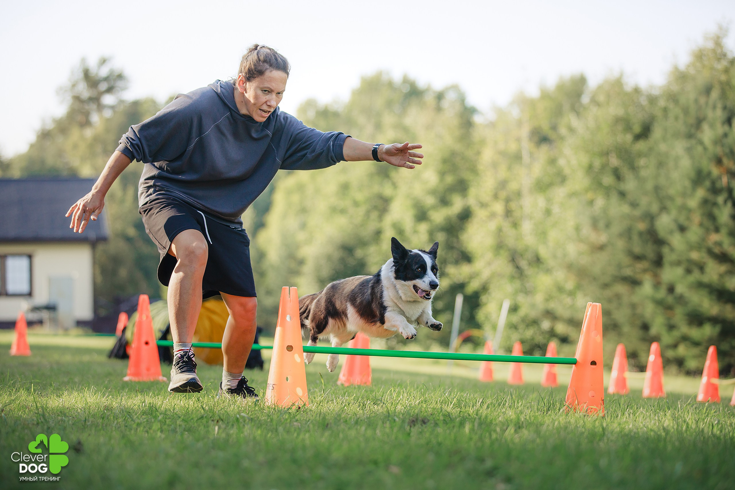 Кинологический лагерь CleverDog, 2024. Фотограф-анималист Mary Mart — Москва, Питер