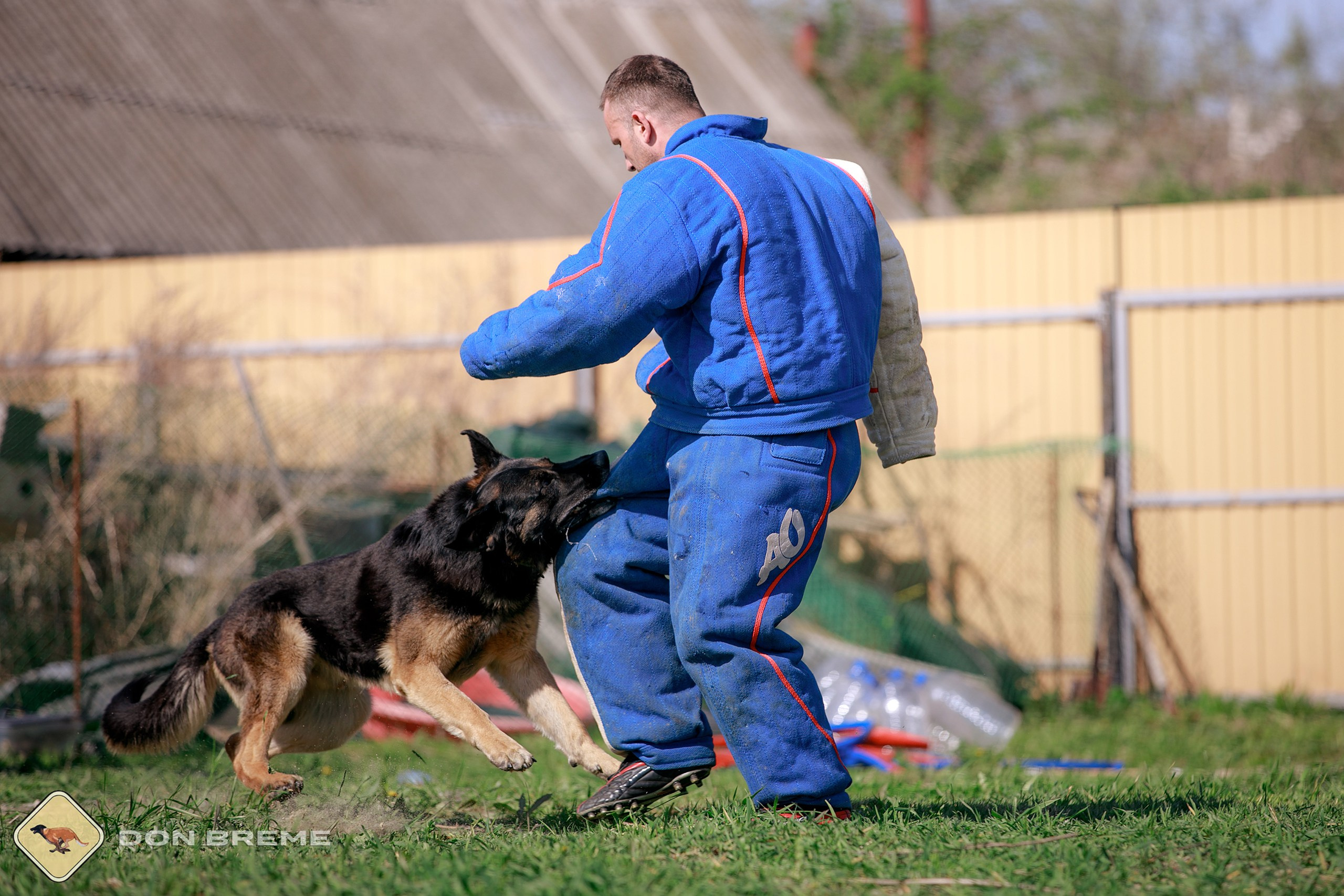 Семинар для фигурантов, день 4. Фотограф-анималист Mary Mart — Москва, Питер