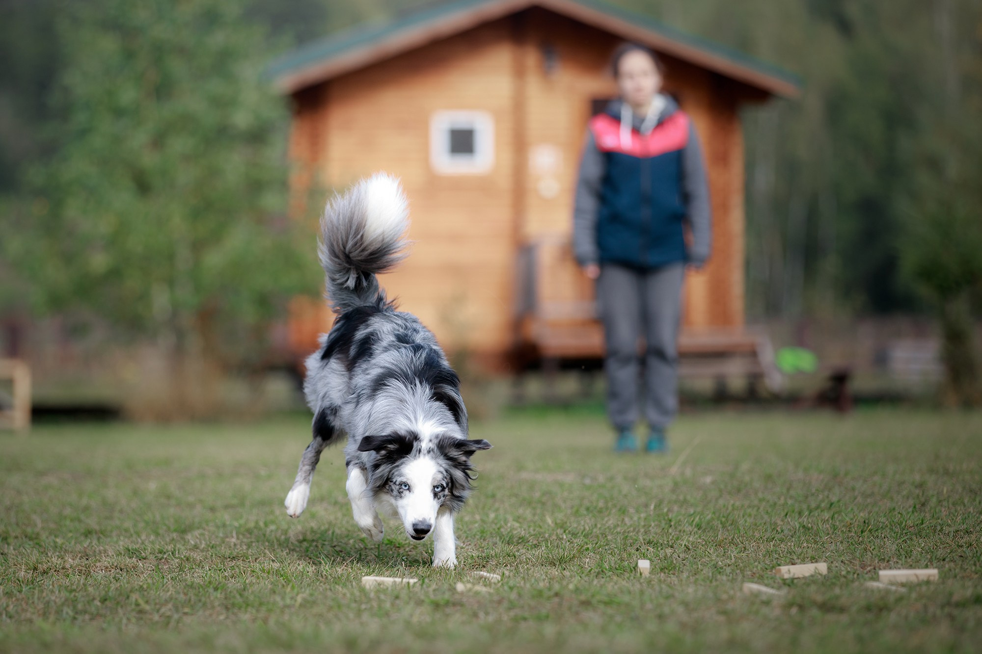 Лагерь по ОБД с Инной Баженовой. Фотограф-анималист Mary Mart — Москва, Питер