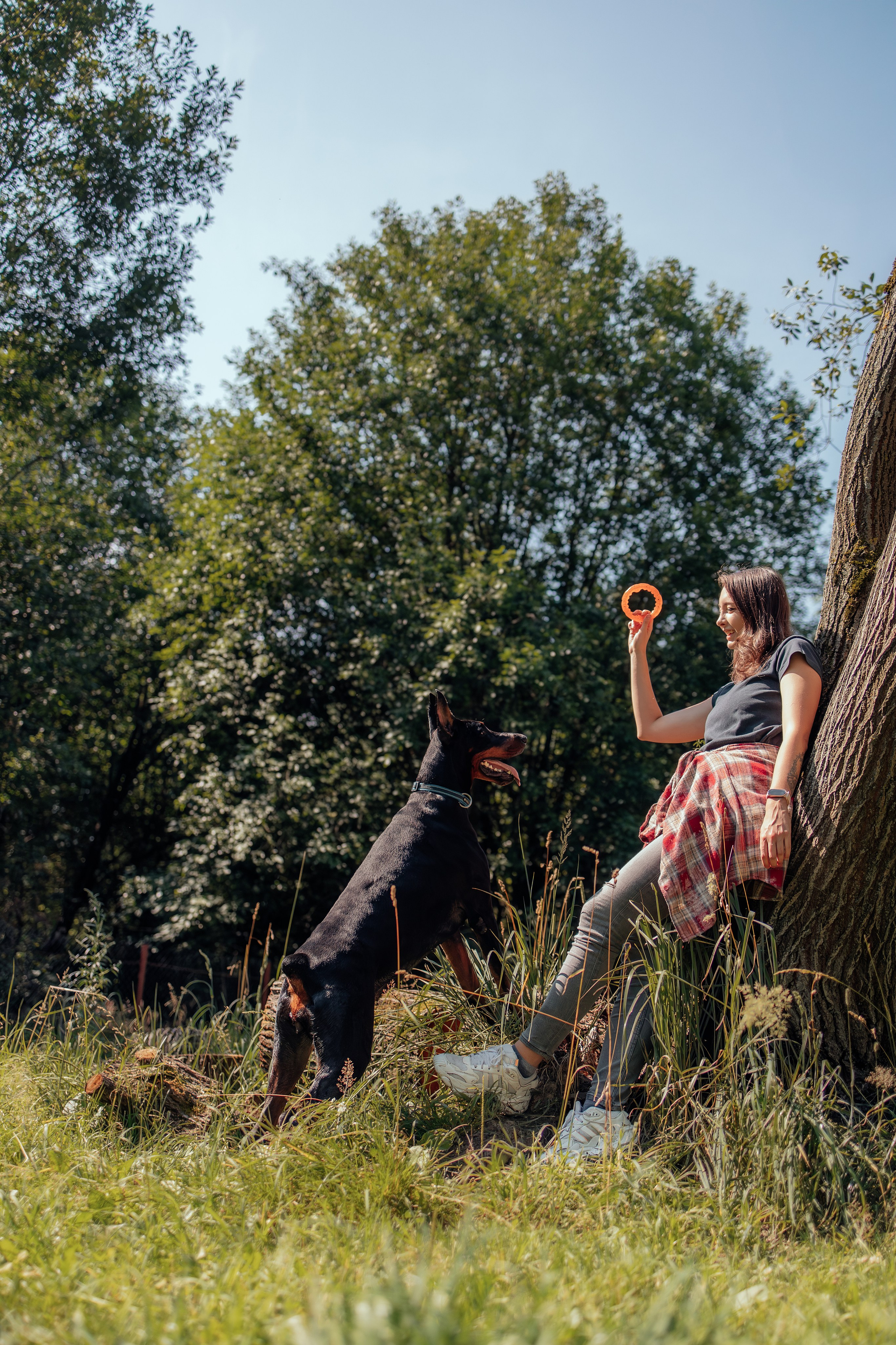 Доберман Айза. Фотограф Анималист в Москве Анастасия Жучкова