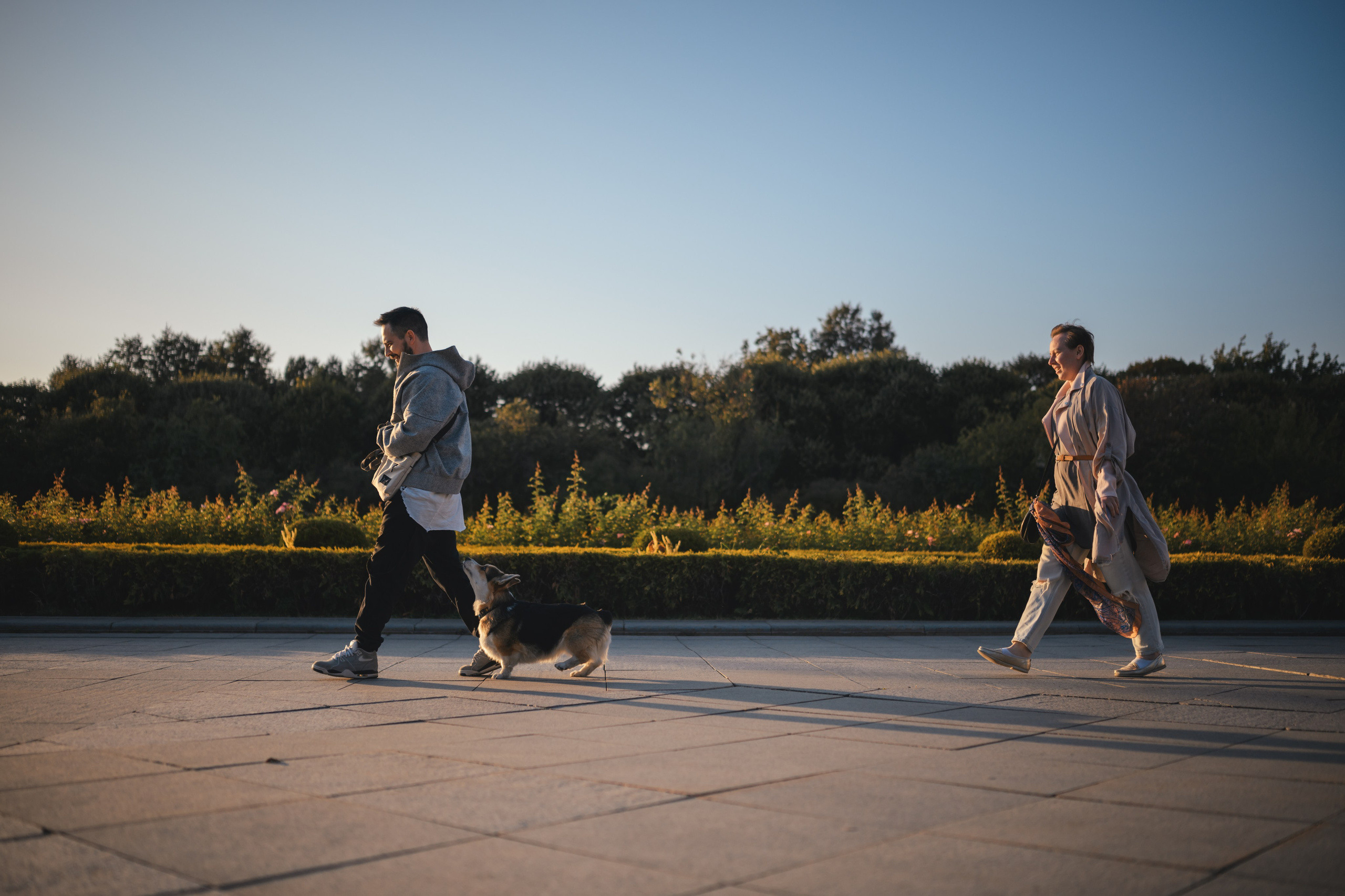 Ева, Леша и Лаванда. Фотограф Анималист в Москве Анастасия Жучкова