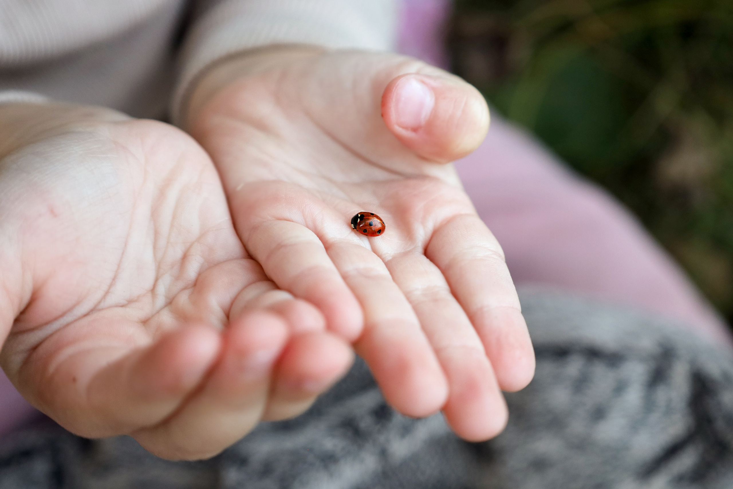 Детская съёмка. Фотограф Саратов | Елизавета Белова