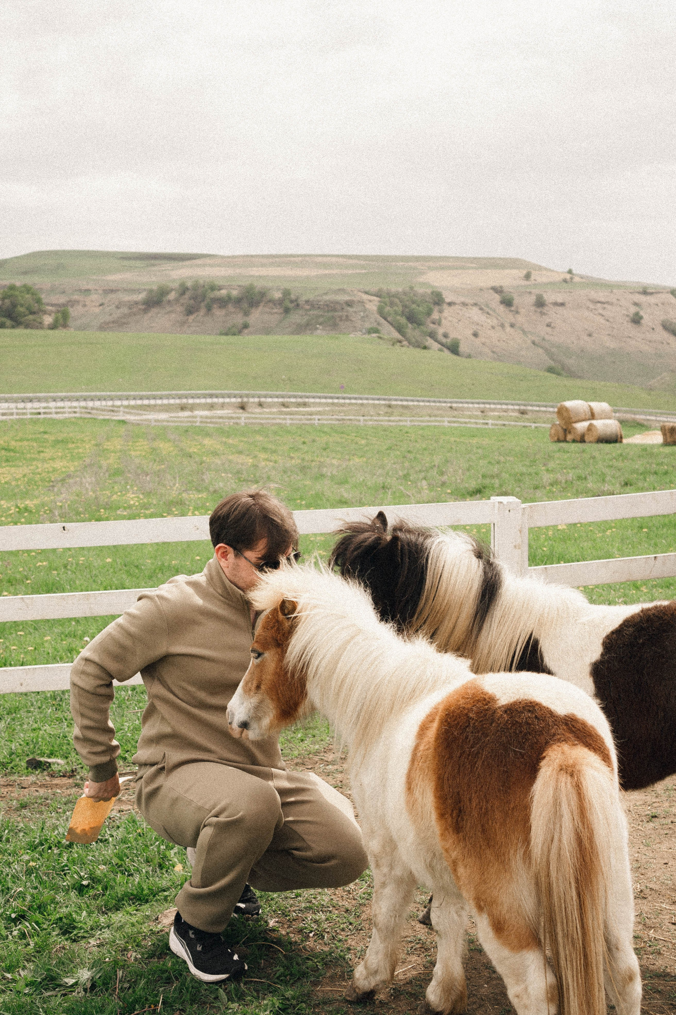 Ферма Альпак. Профессиональный фотограф, Санкт-Петербург — Виктория Богомолова