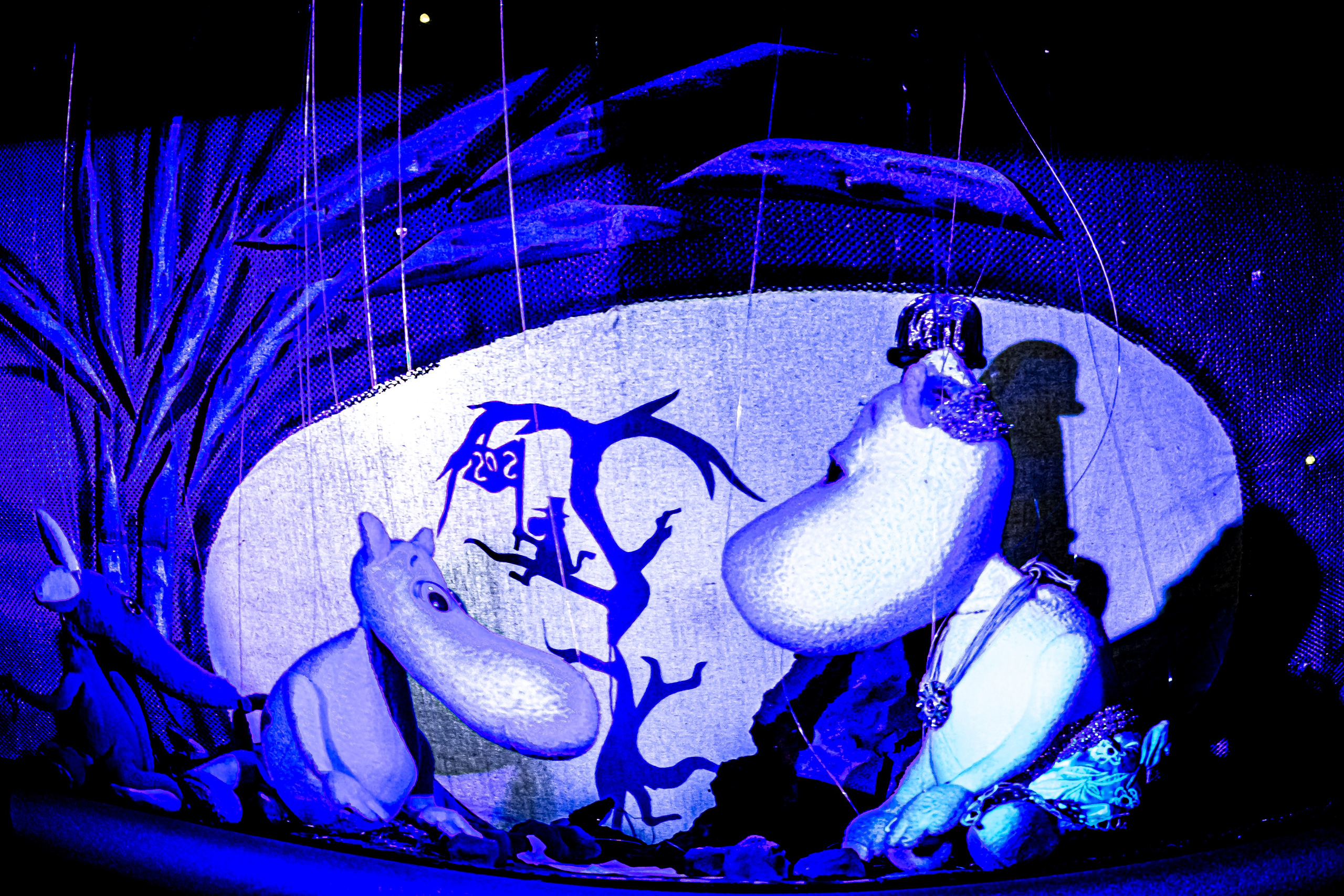 «Муми тролли и большое наводнение». Фотограф в Сочи Юрий Шептаев