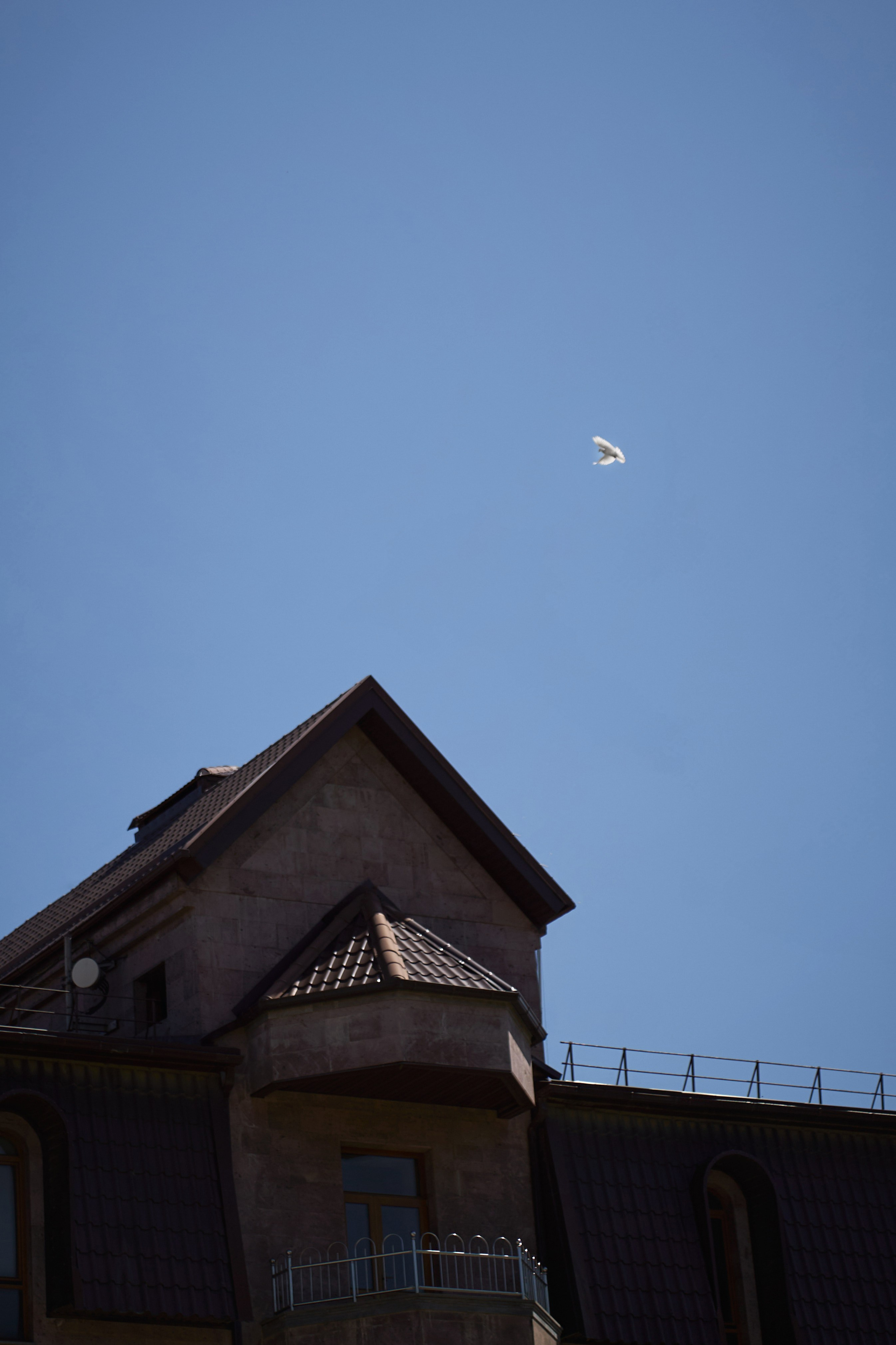 Лучшие свадебные фотографы Краснодара ТВИНС СТУДИО в Zagarro на Армянской свадьбе!. ТВИНС СТУДИО — лучшие свадебные фотографы и видеографы в Краснодаре