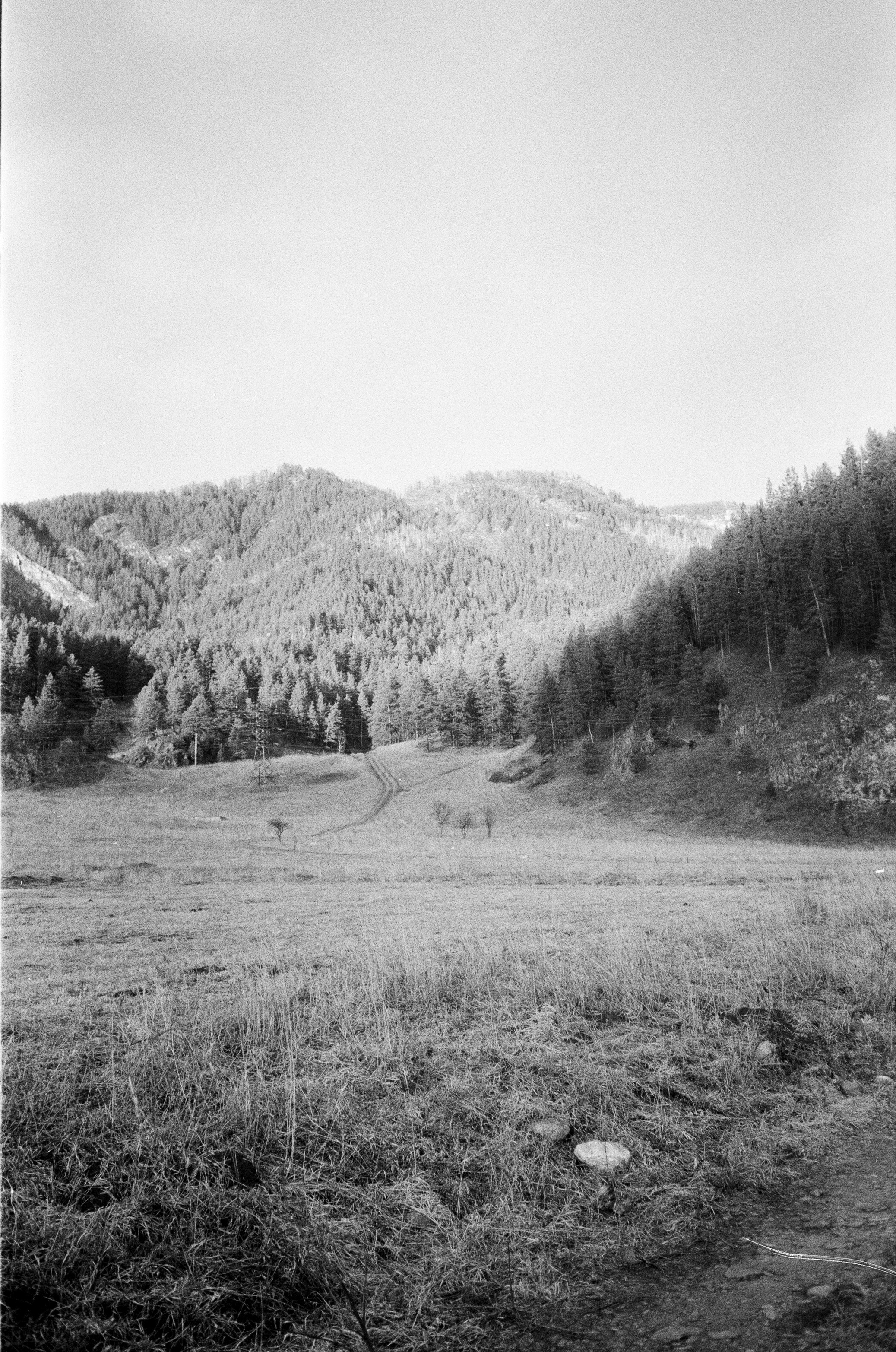 Olympus AF-10 SUPER / Ilford PAN 400 / Алтай, зима 2023 год