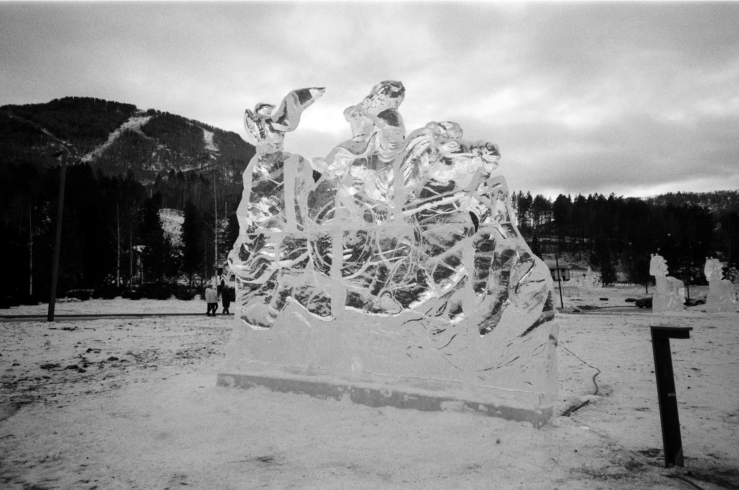 Olympus AF-10 SUPER / Ilford PAN 400 / Алтай, зима 2023 год