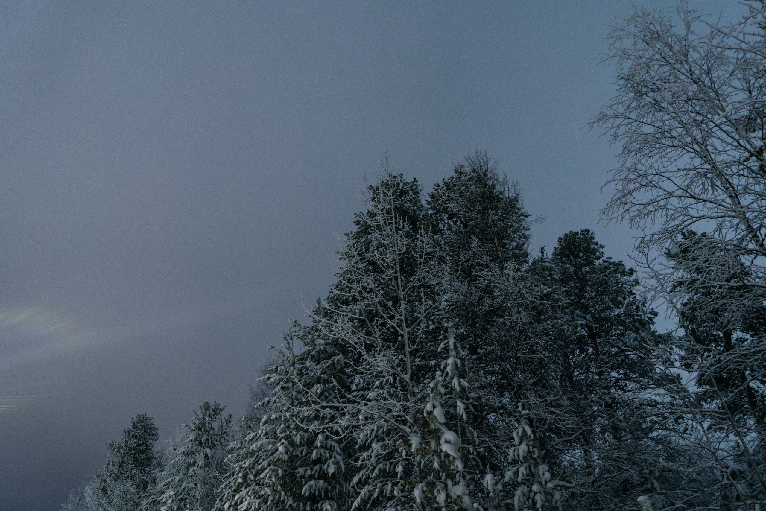 Ноябрьск, Март 2024