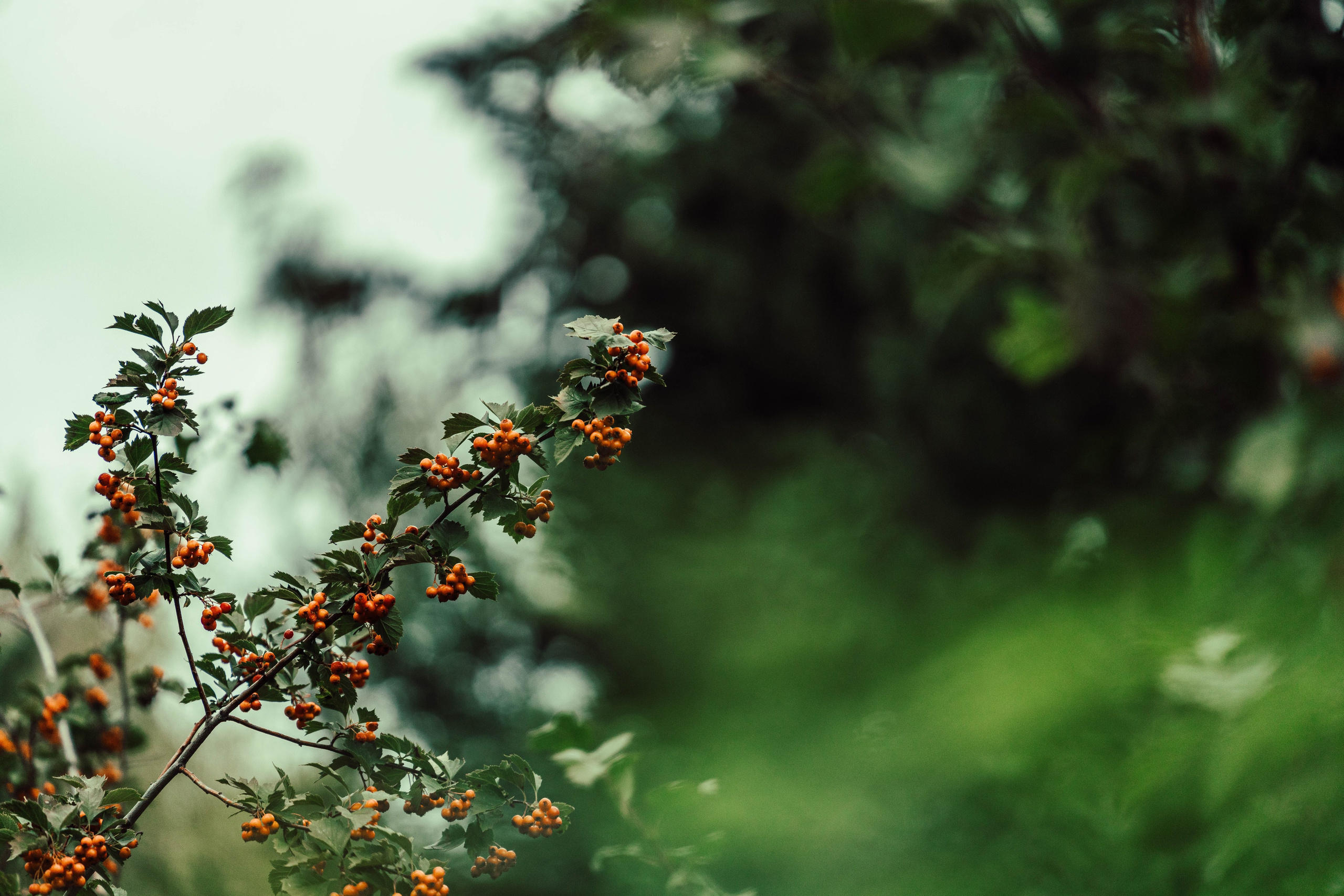 Усть-Каменогорск, Сентябрь 2024