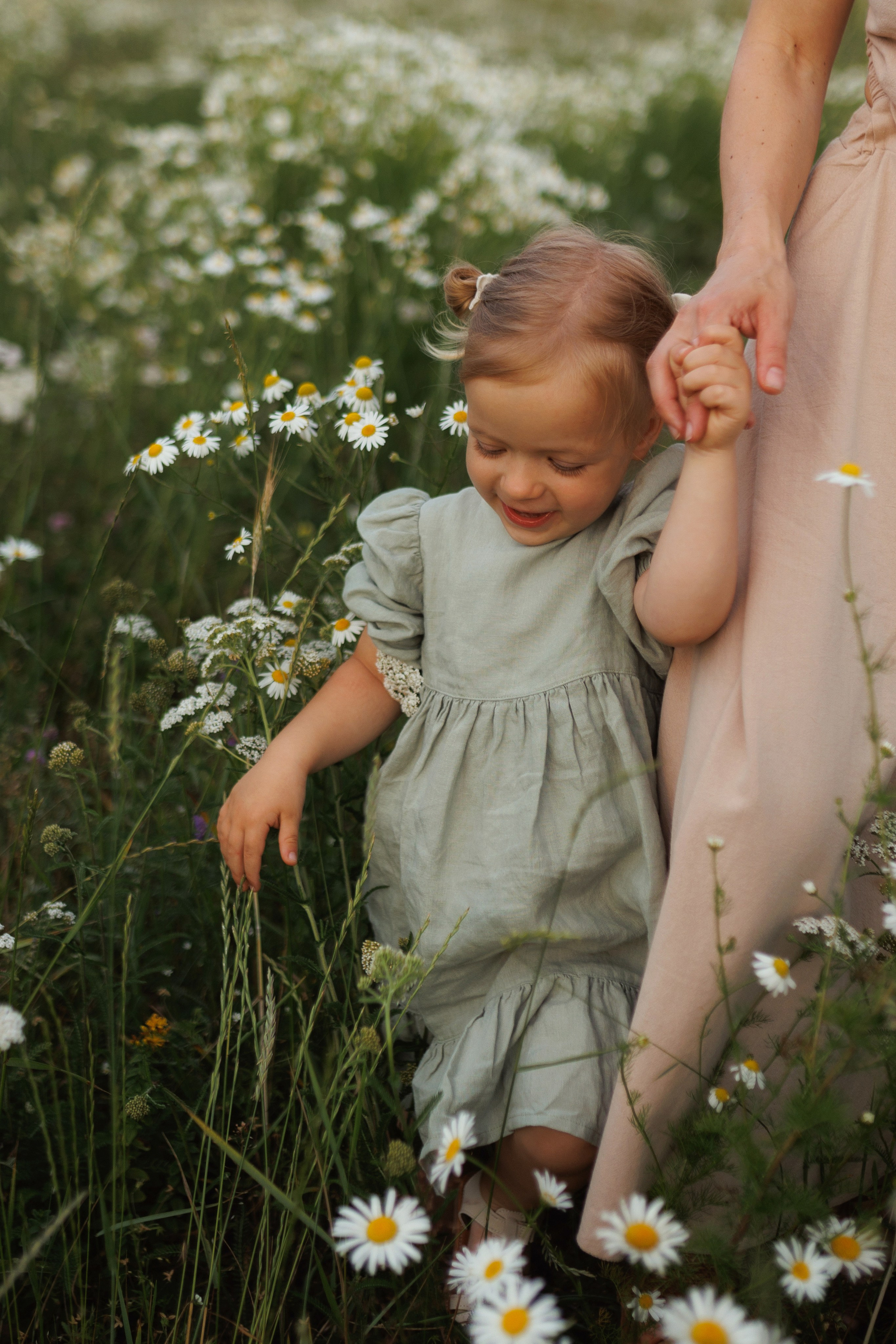 В ромашковом поле. Фотограф в Красногорске и Москве
