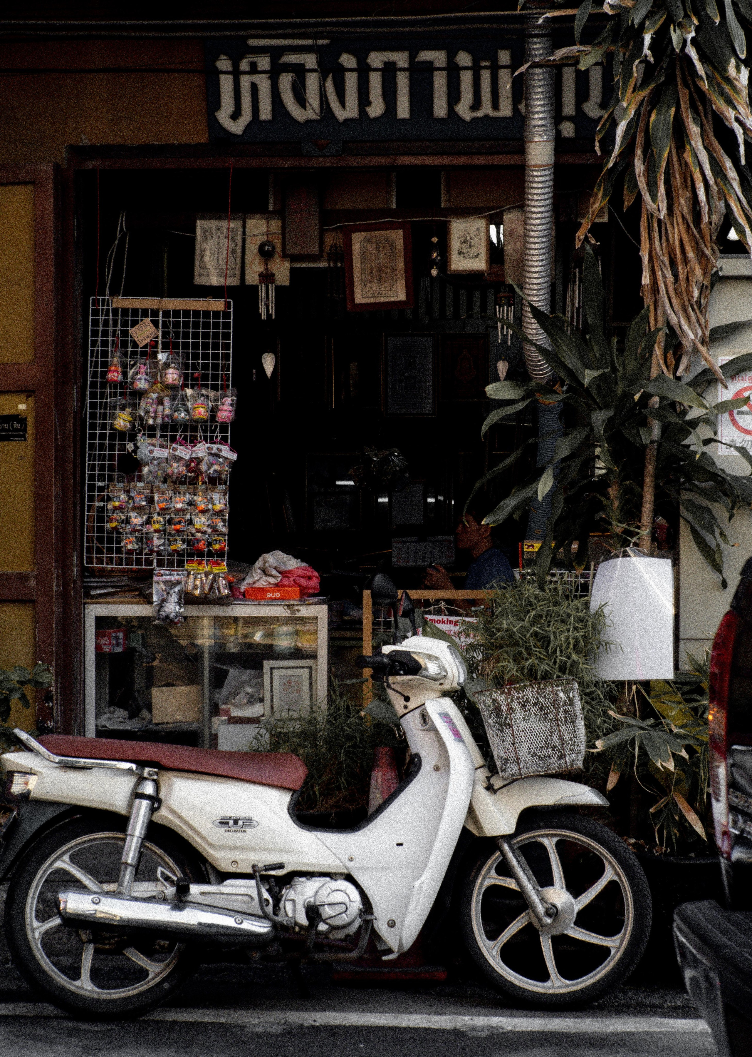 Art portfolio. AleSeeva