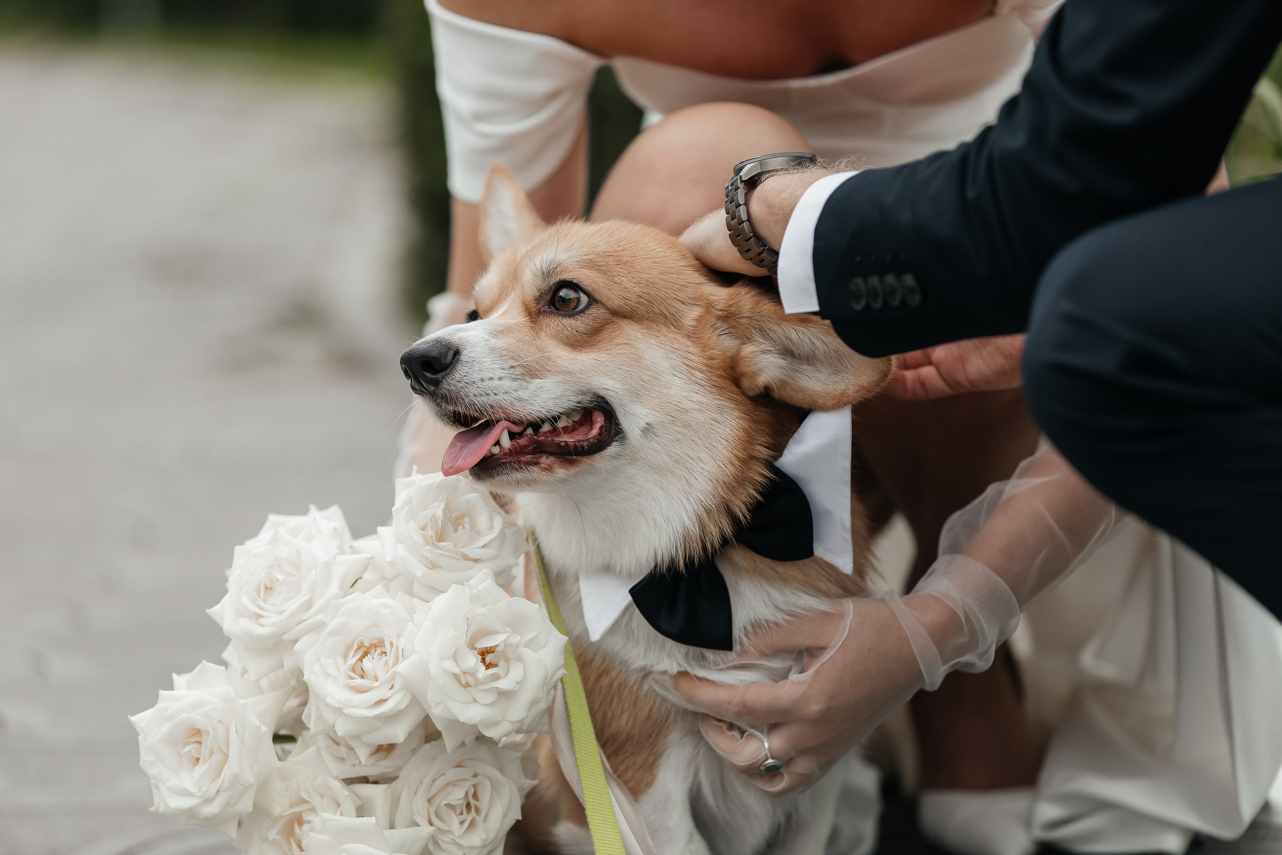 Свадебный фотограф Ольга Ермакович