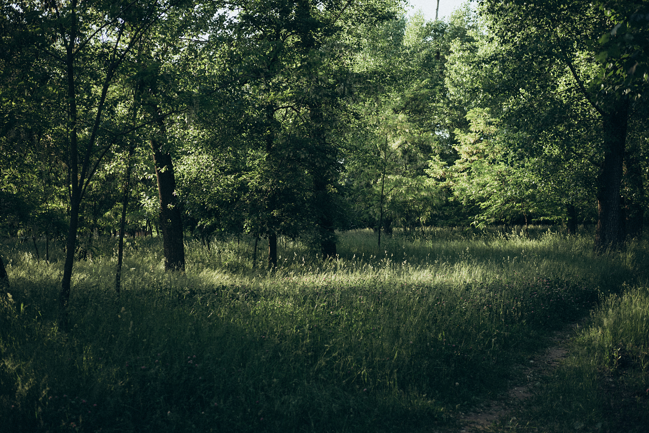 Aleksandr & Ksu & Miron. Семейный и детский фотограф в Белгороде Ольга Сорока