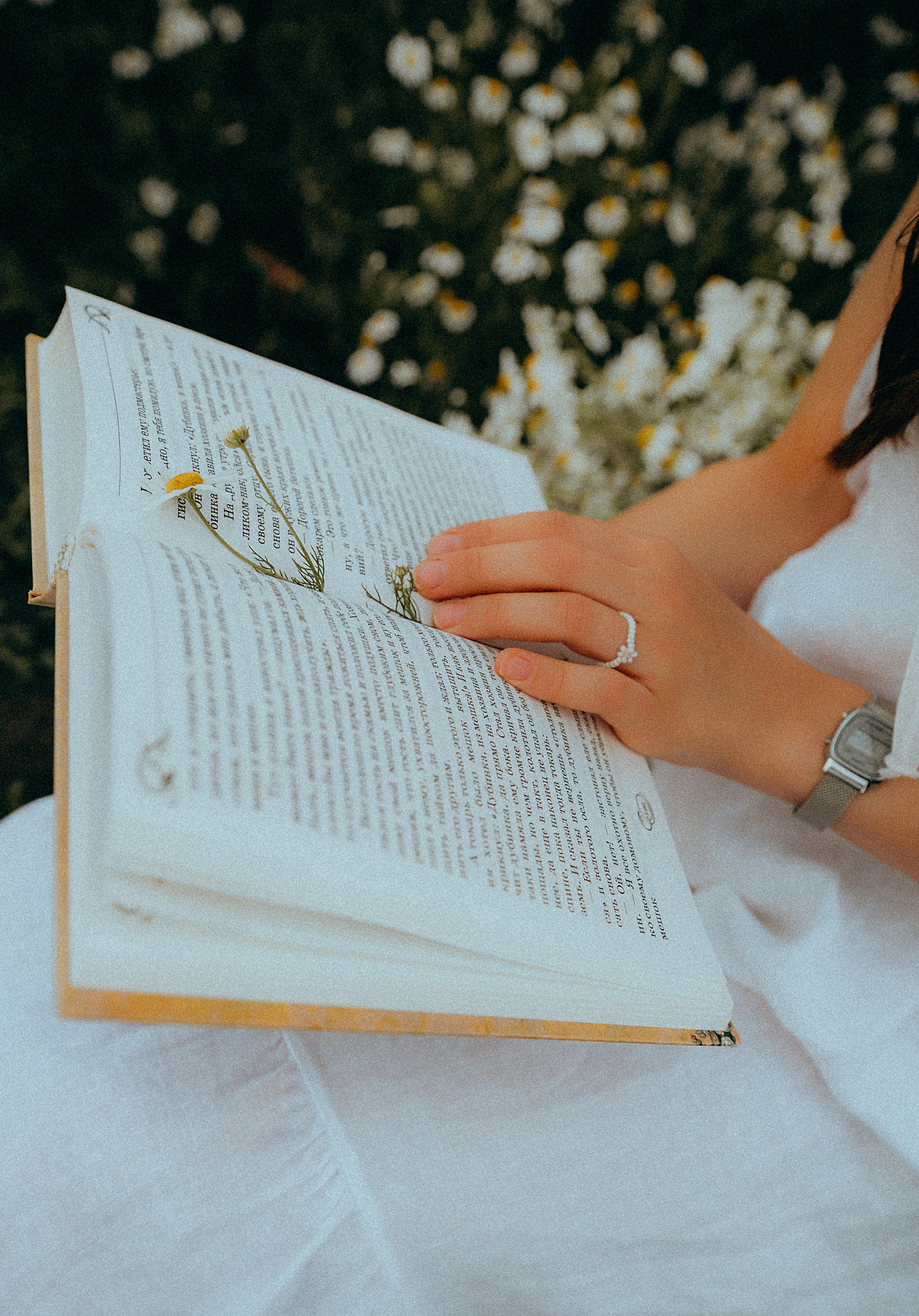 Stefania. Семейный и детский фотограф в Белгороде Ольга Сорока